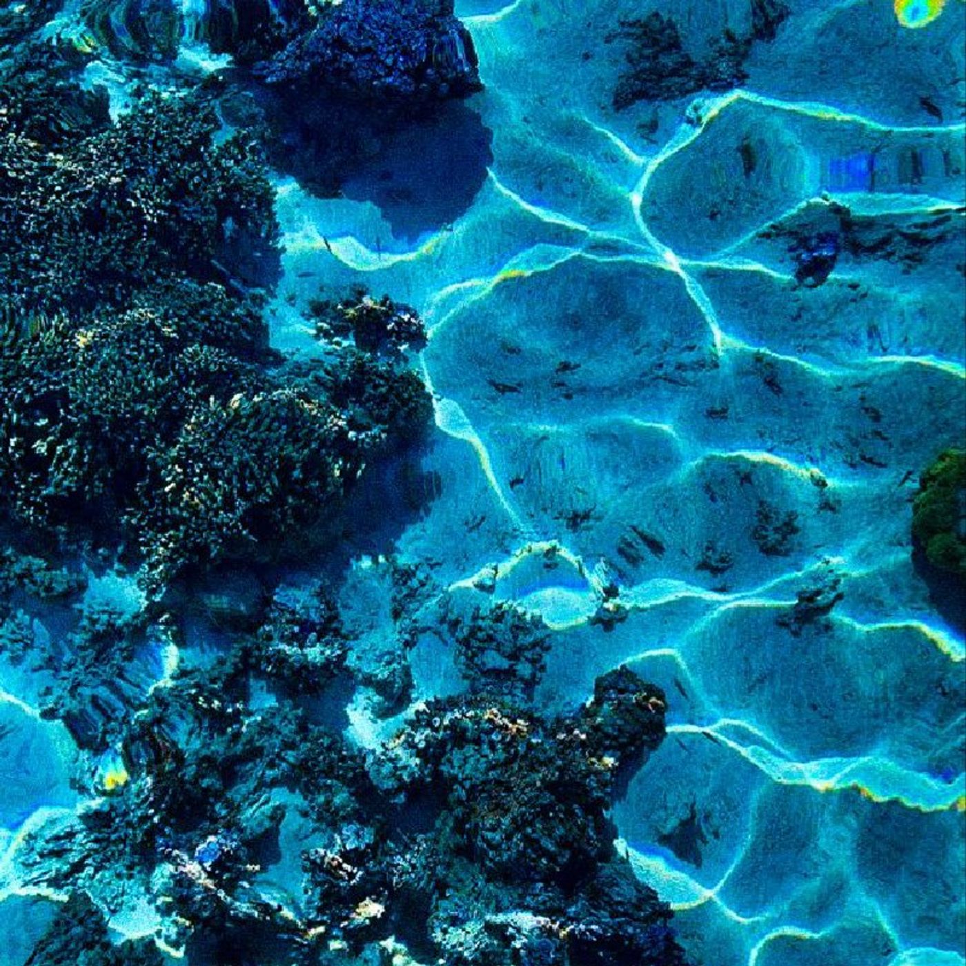 Estrellitas de dulzura