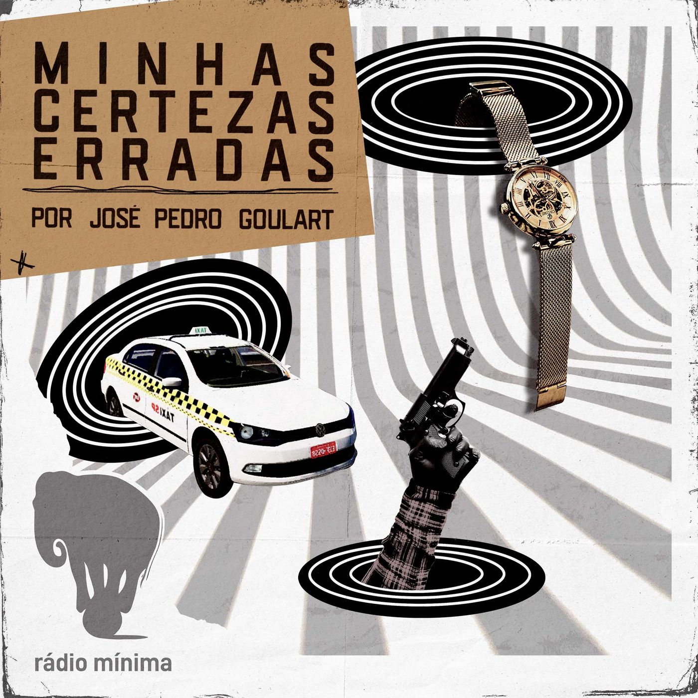 Minhas Certezas Erradas