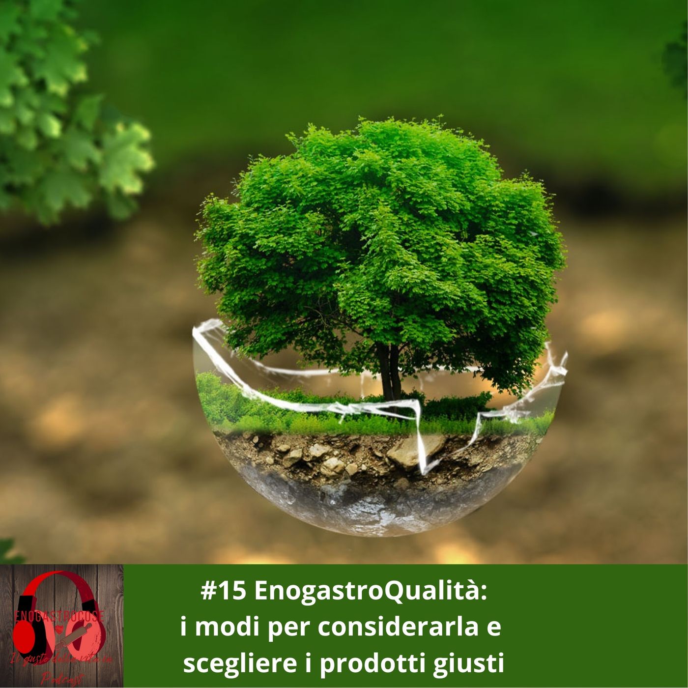 Enogastrocose Podcast