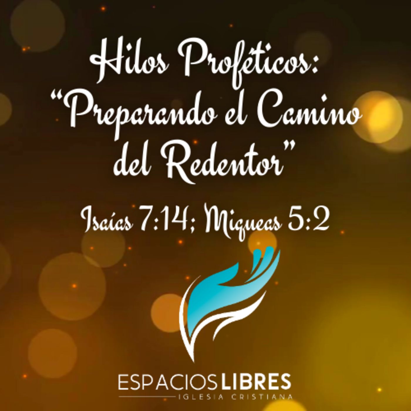 IGLESIA CRISTIANA ESPACIOS LIBRES