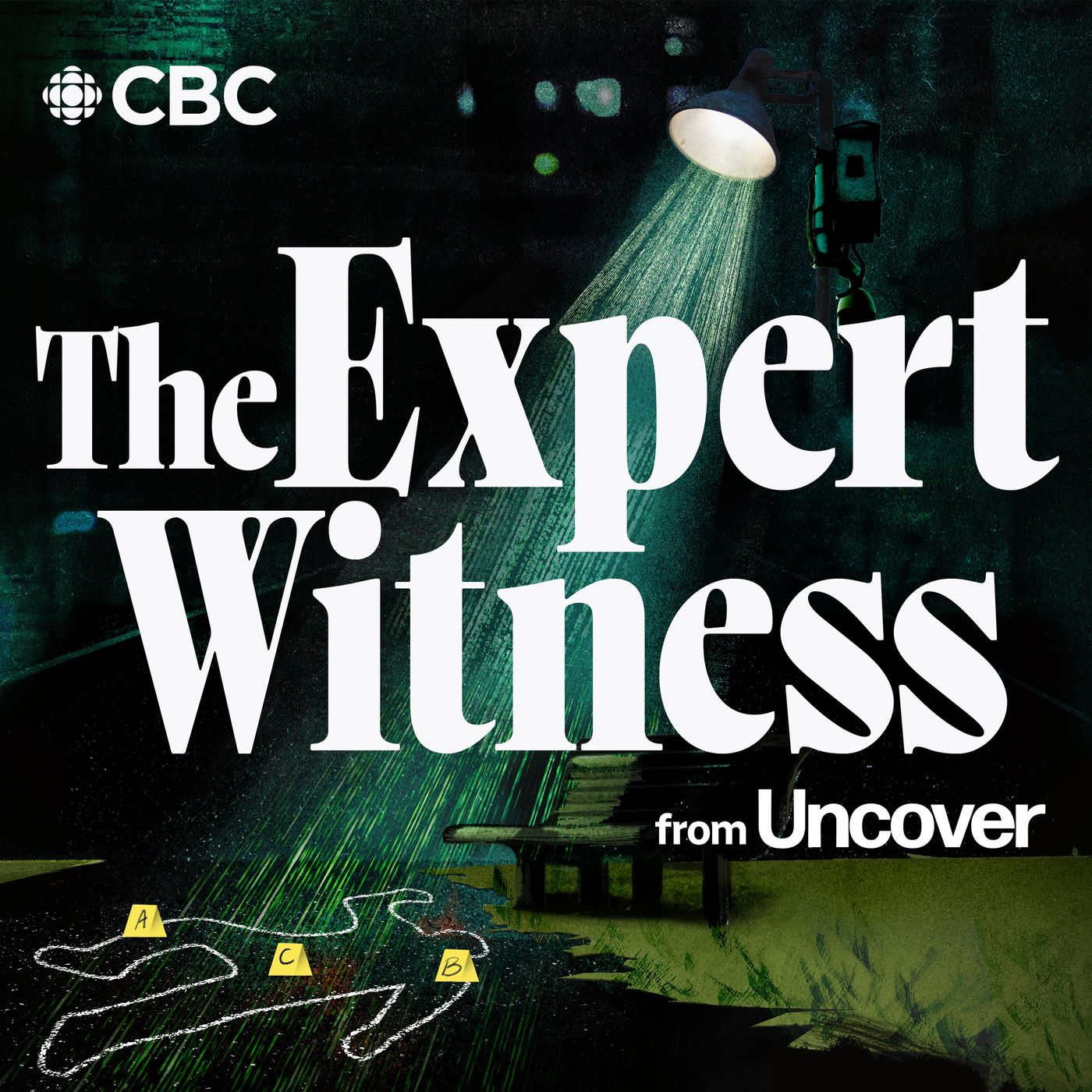 S37 E4: Nerds Love Code | The Expert Witness episode artwork