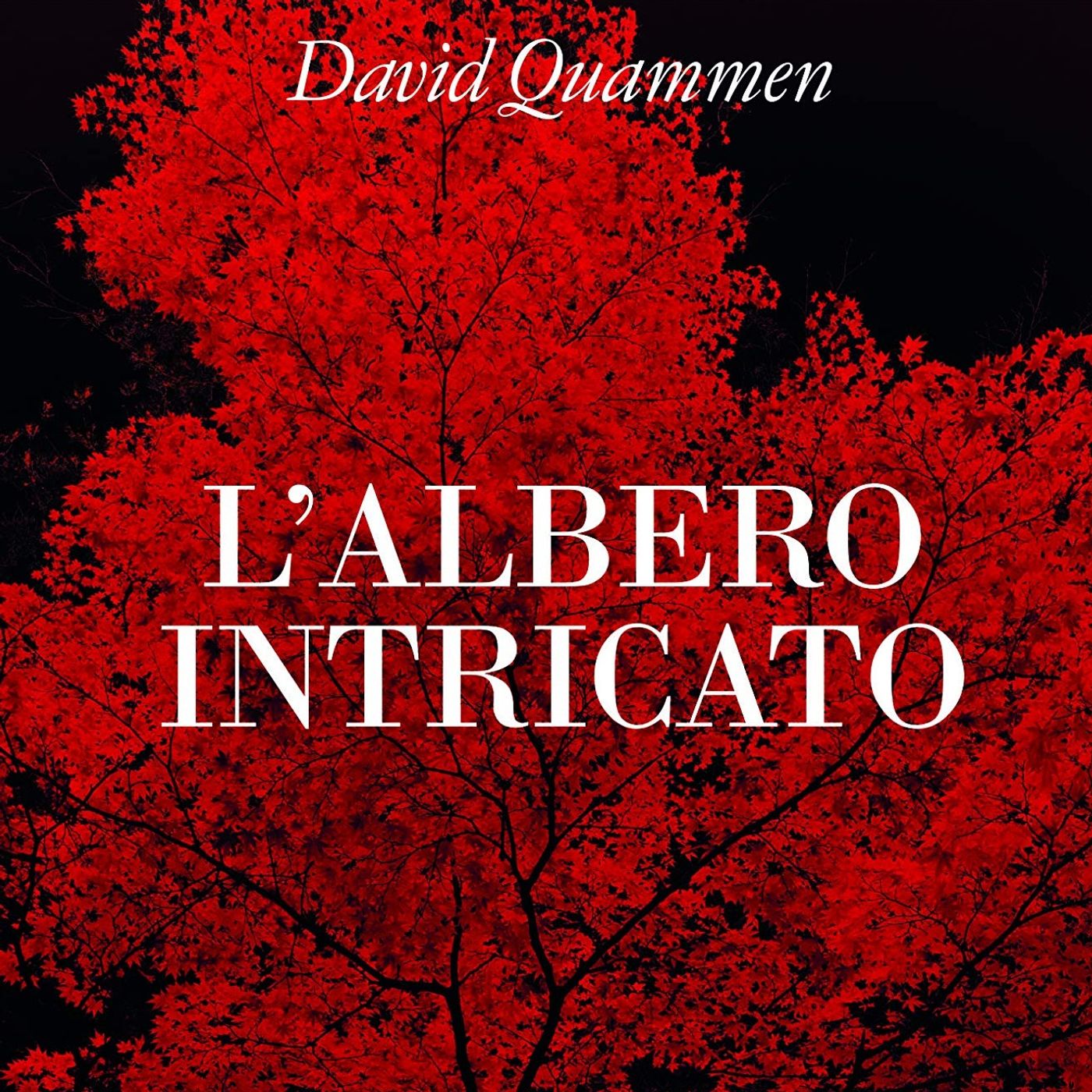 Una Montagna di Libri Cortina d\'Ampezzo