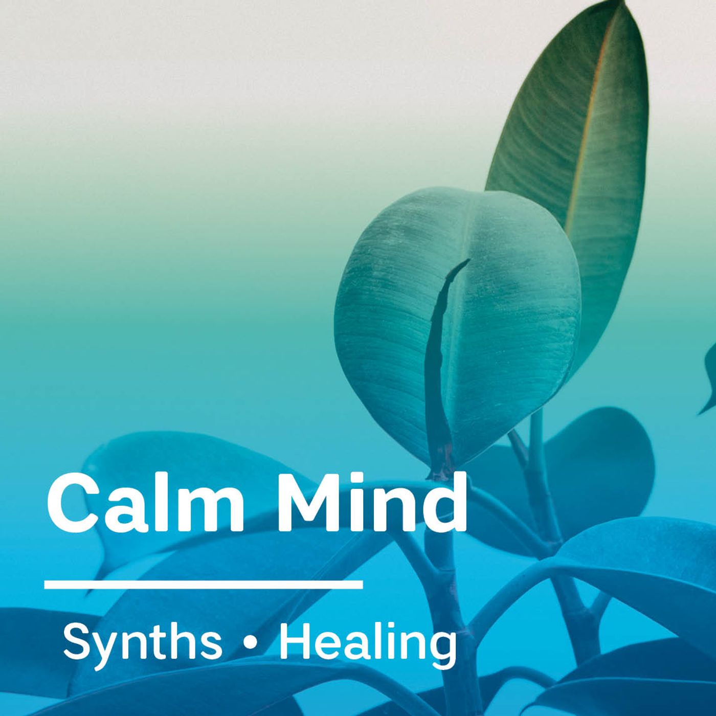 Calm Mind Calm Mind