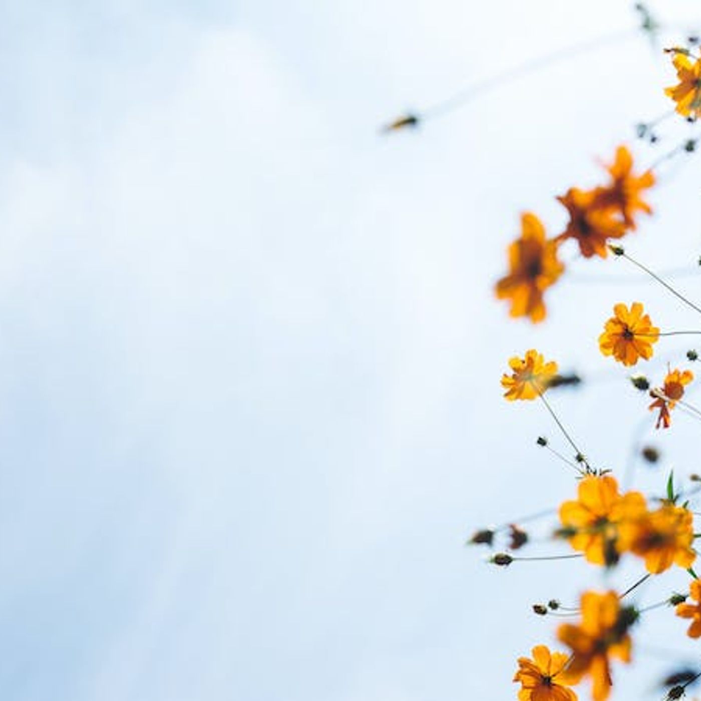 Are Christians Righteous or Unrighteous?