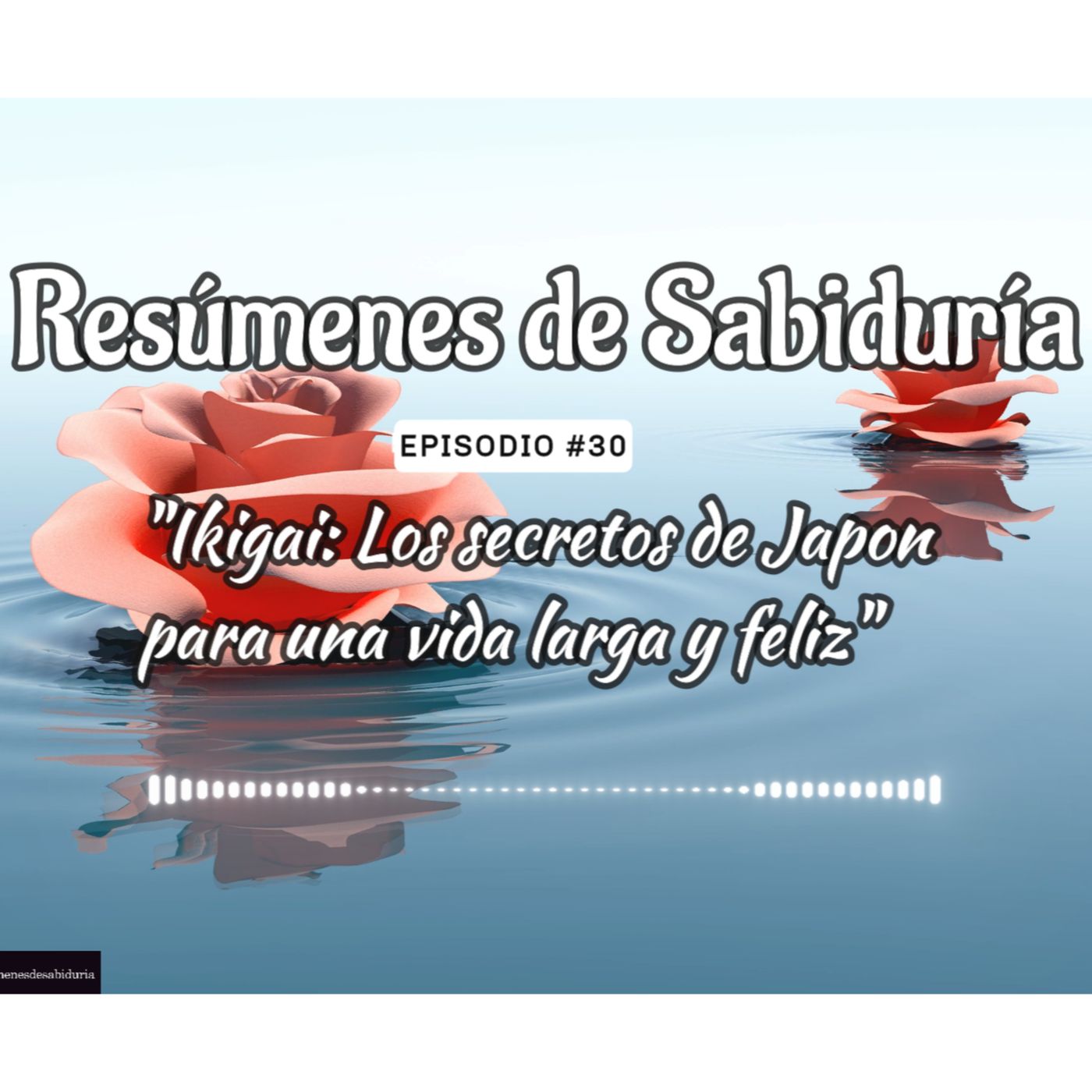 Resumenes de Sabiduria