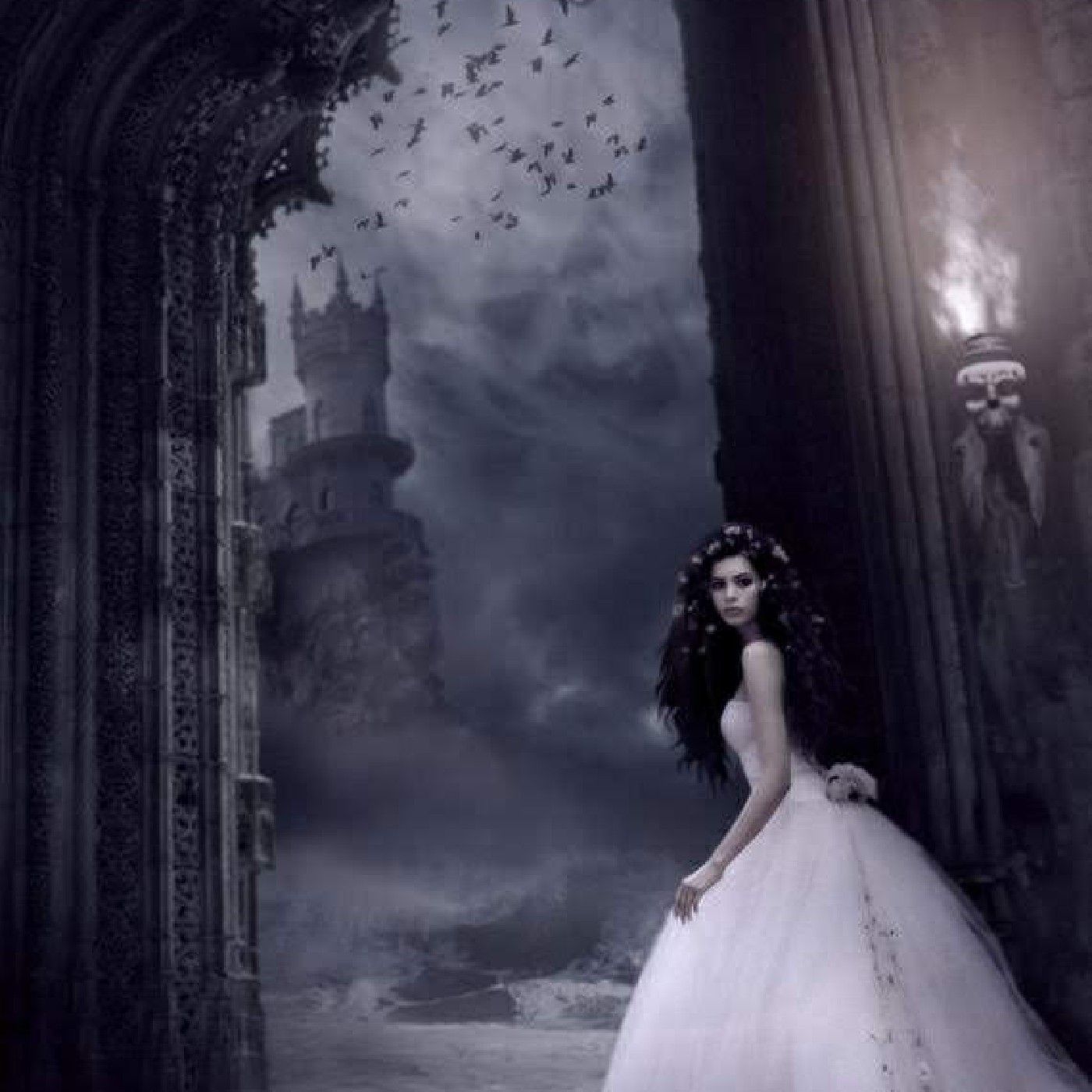 FreeBird's Dark
