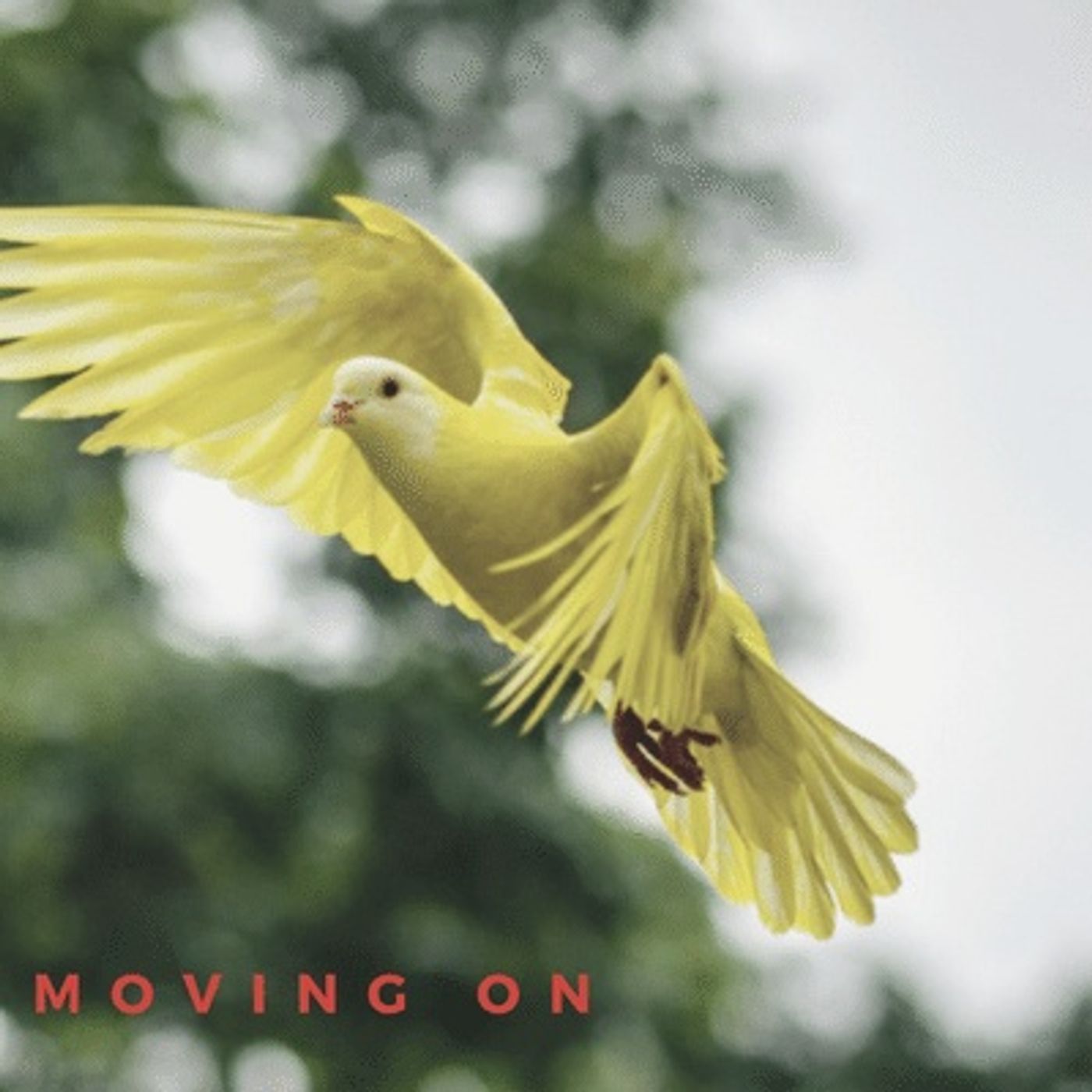 Moving on without FEAR