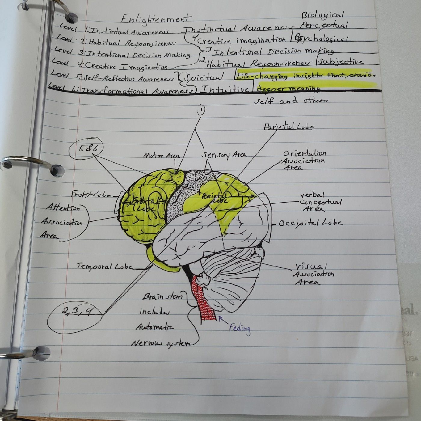 Abram's  traumatic podcast