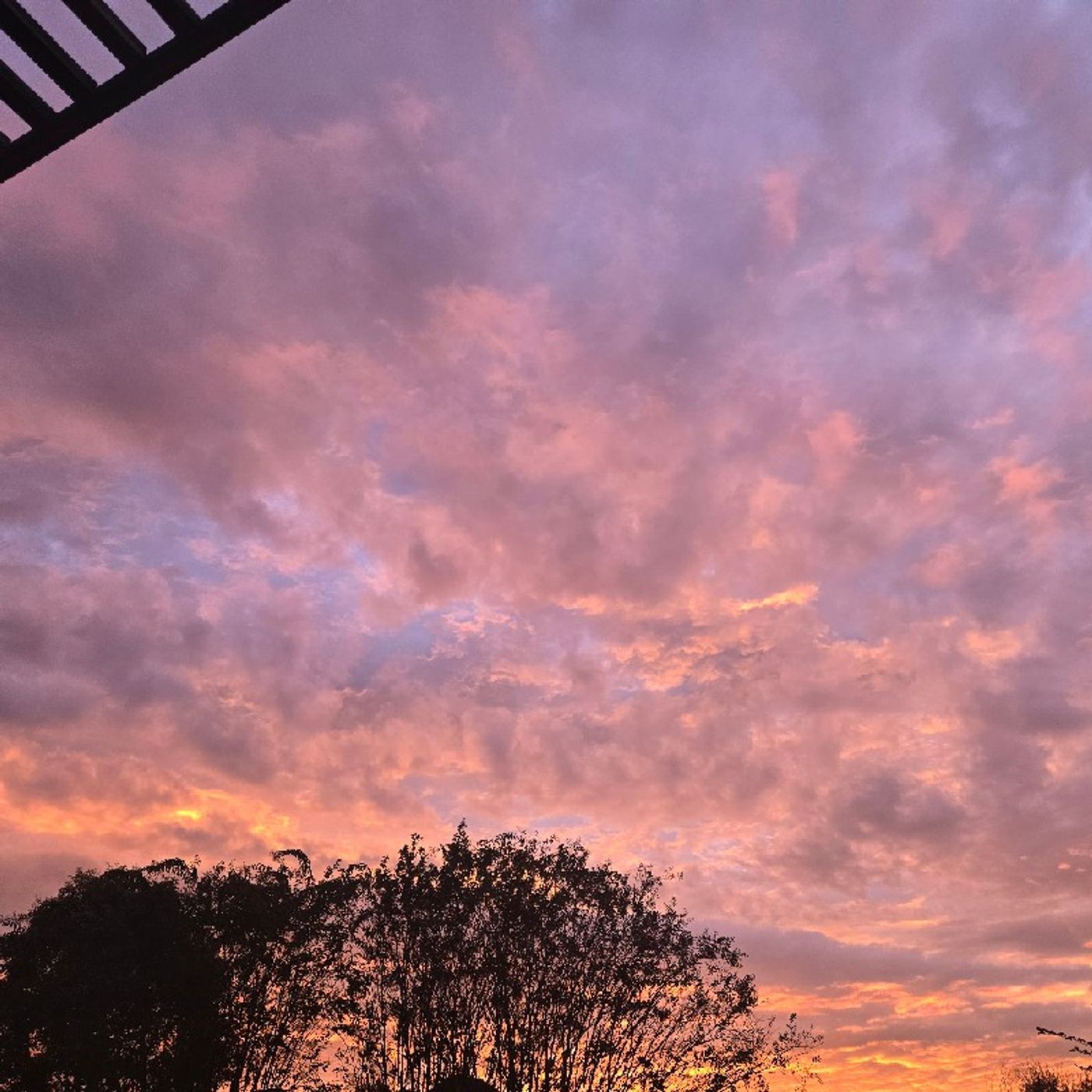 Episode 109 - Wanders if the Earth