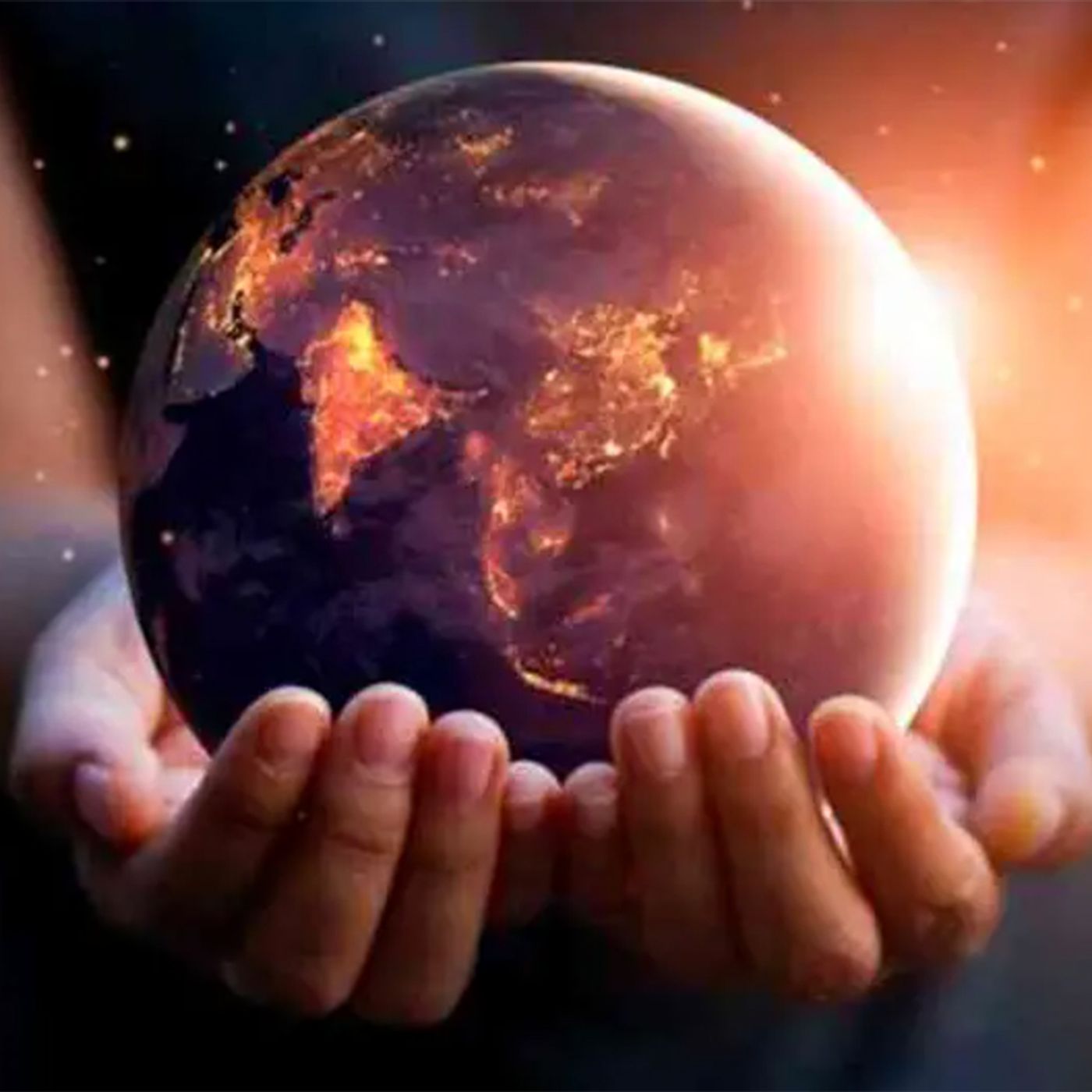 La supervivencia de la vida en su conjunto es una condición para la supervivencia de la humanidad