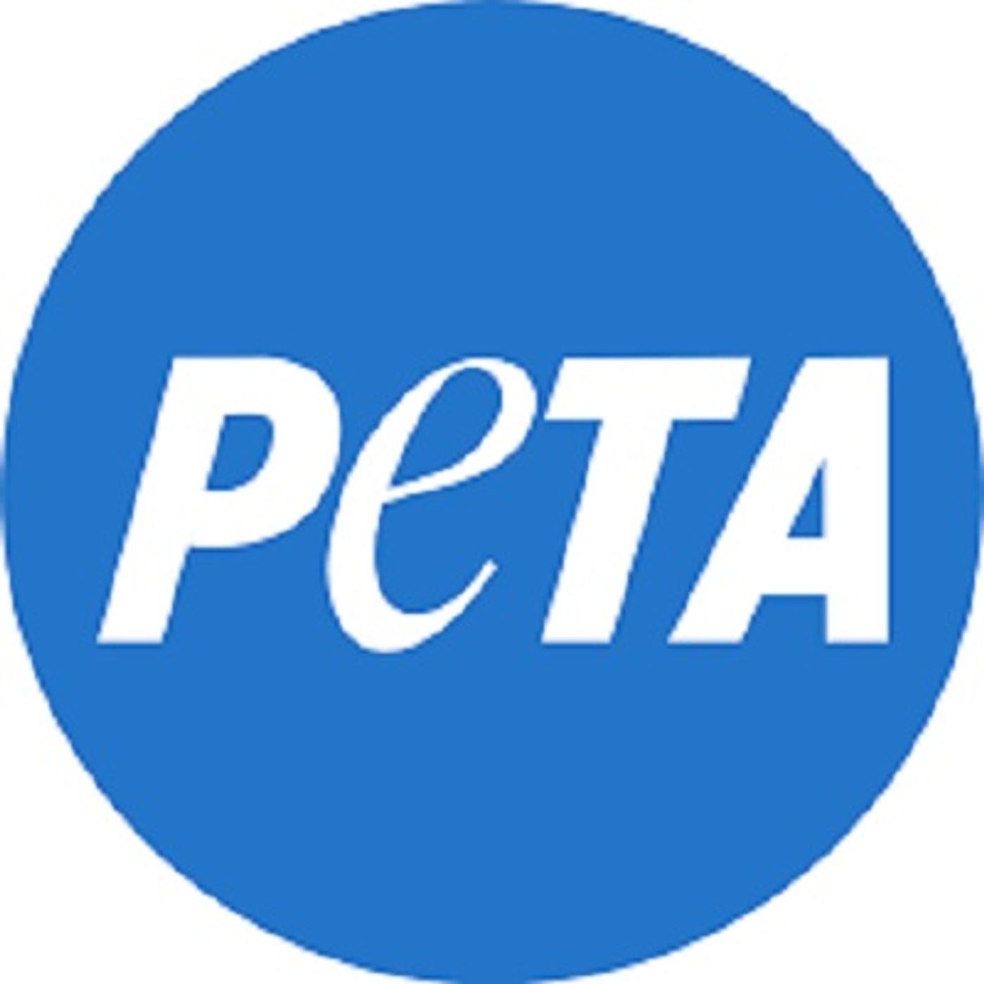 Amber Canavan of PETA discusses vegan egg options on Conversations LIVE episode artwork