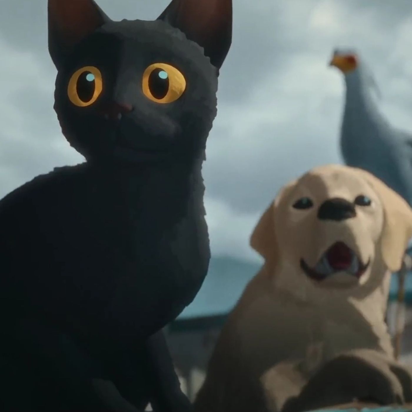 Animali animati: Flow VS l'apetta Giulia e la Signora Vita