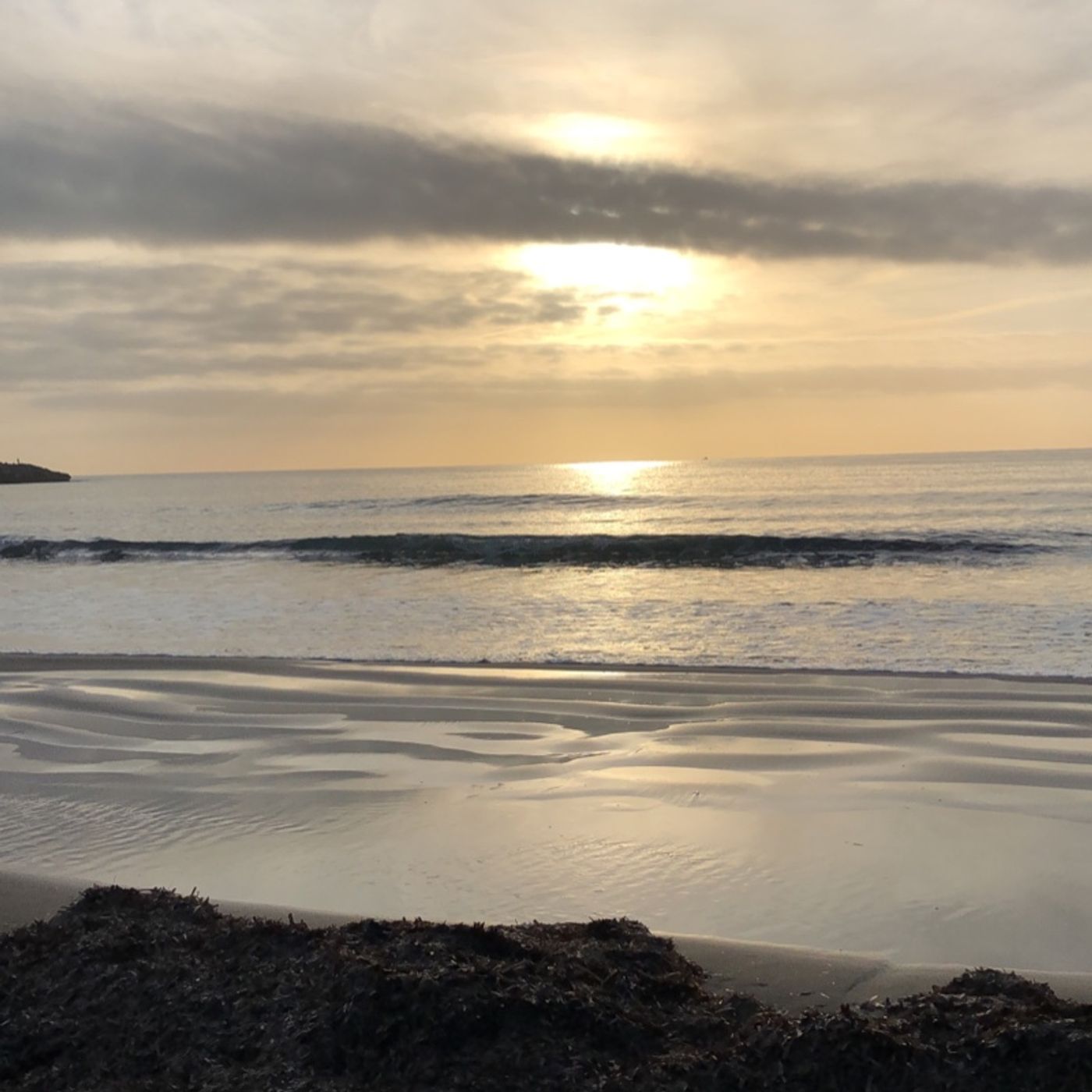 Psicología humanista