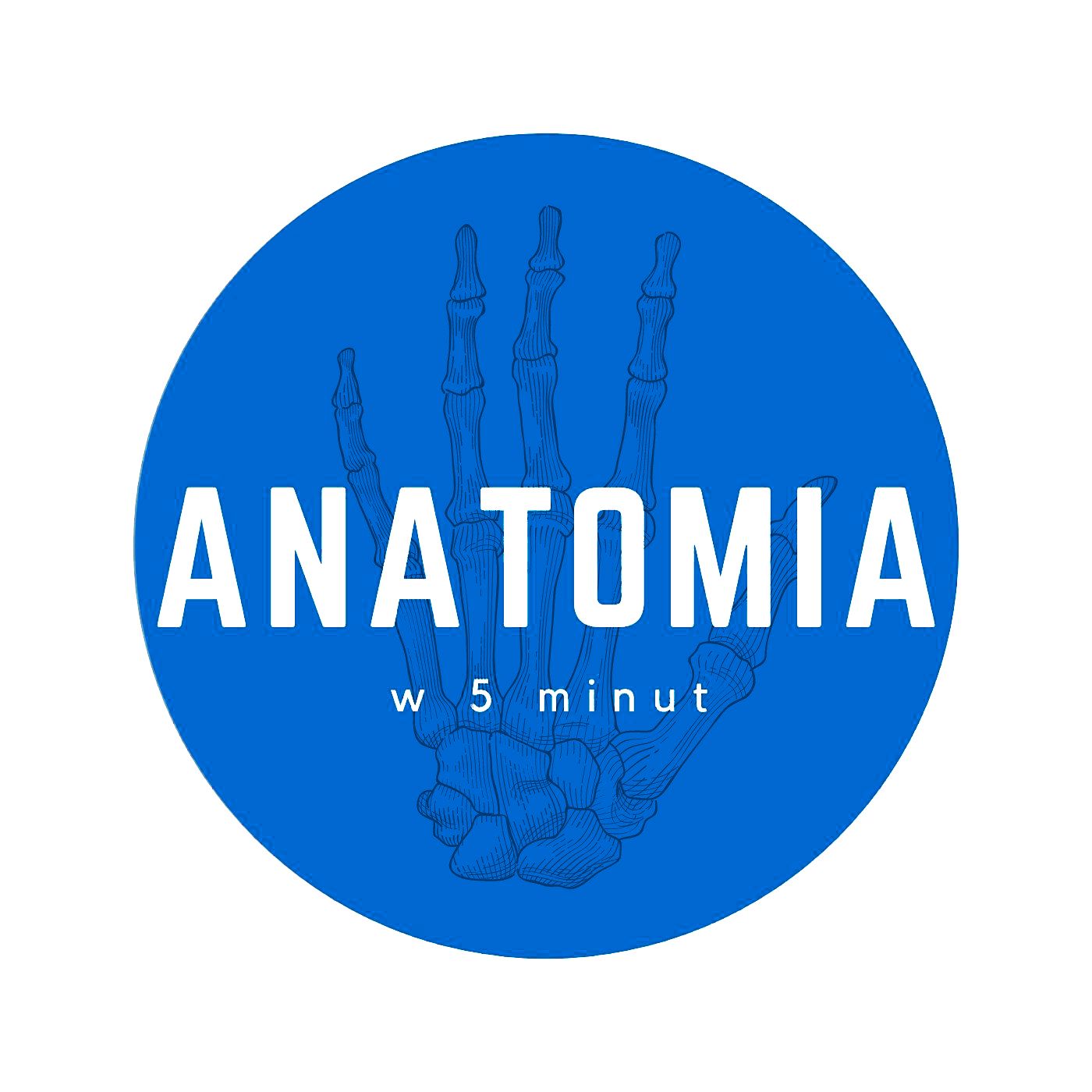 Anatomia w 5 minut