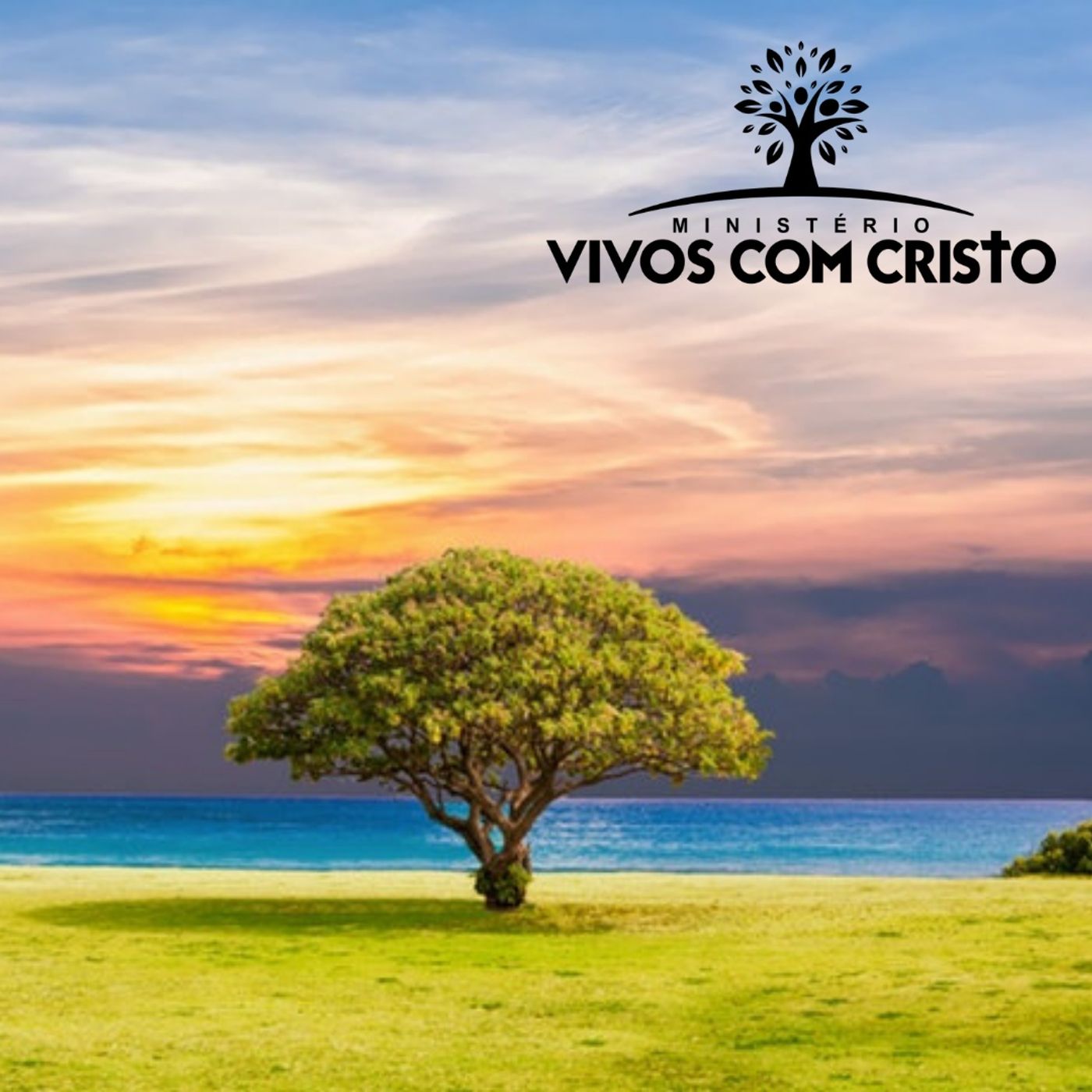 Como a árvore plantada junto às águas do Espírito