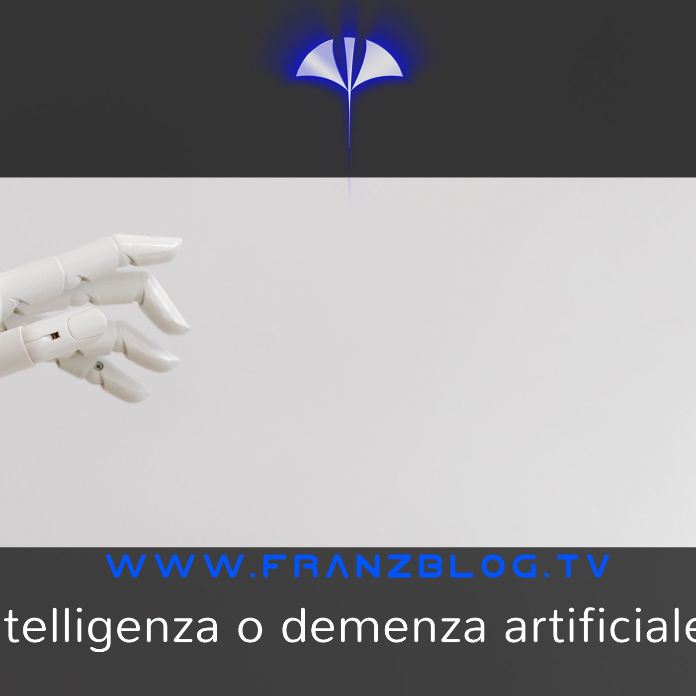 Franz\'s Blog