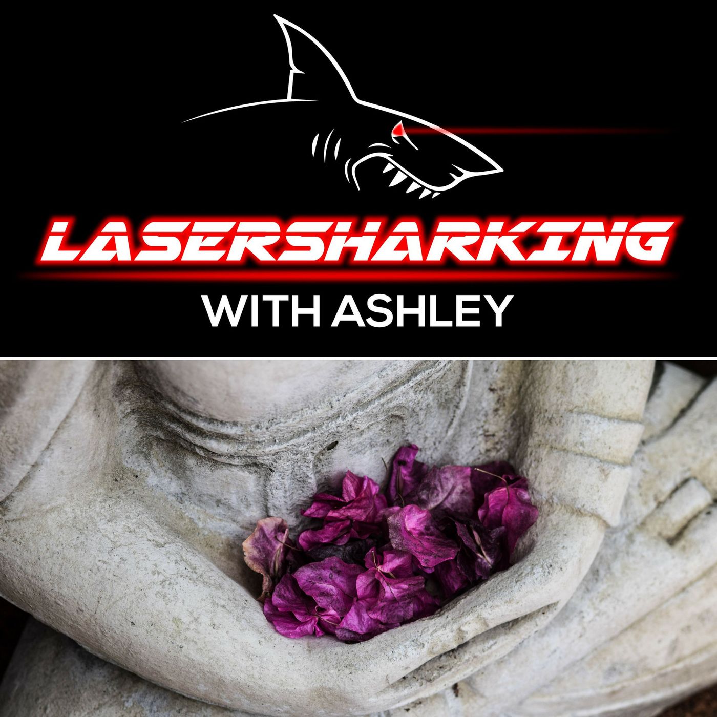 Lasersharking with Ashley