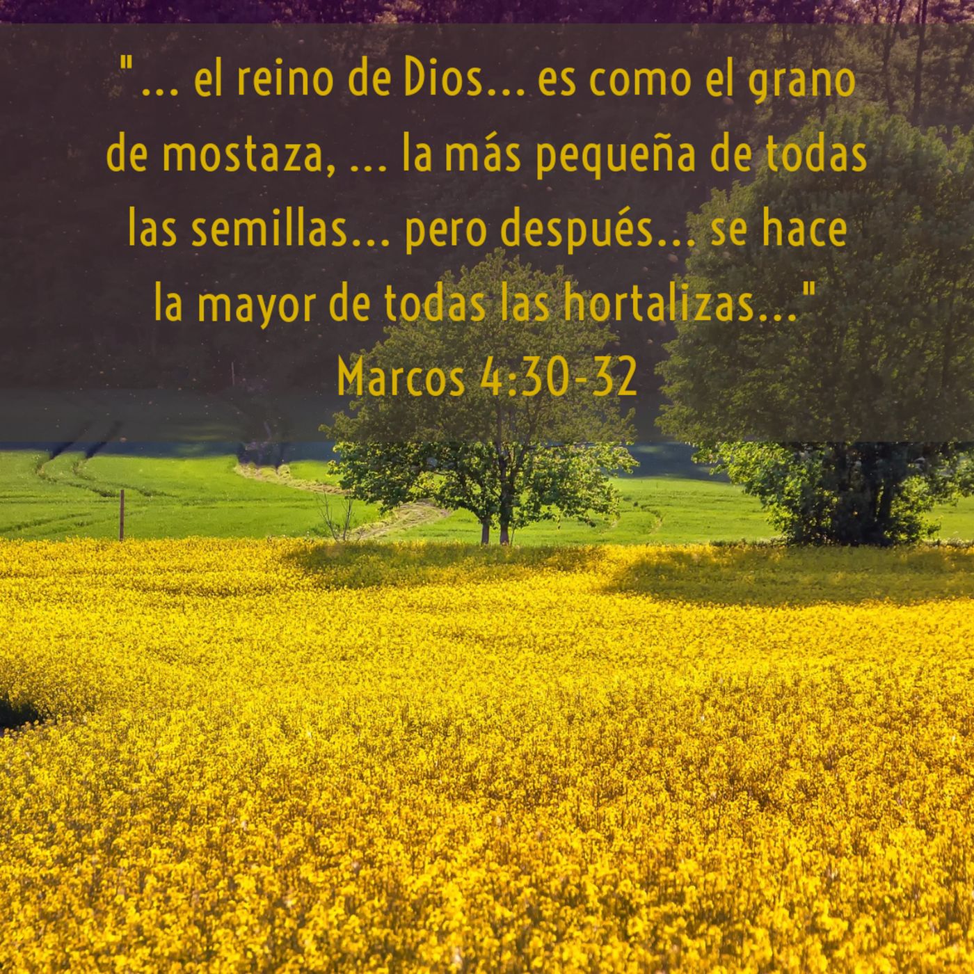 Evangelio de Marcos