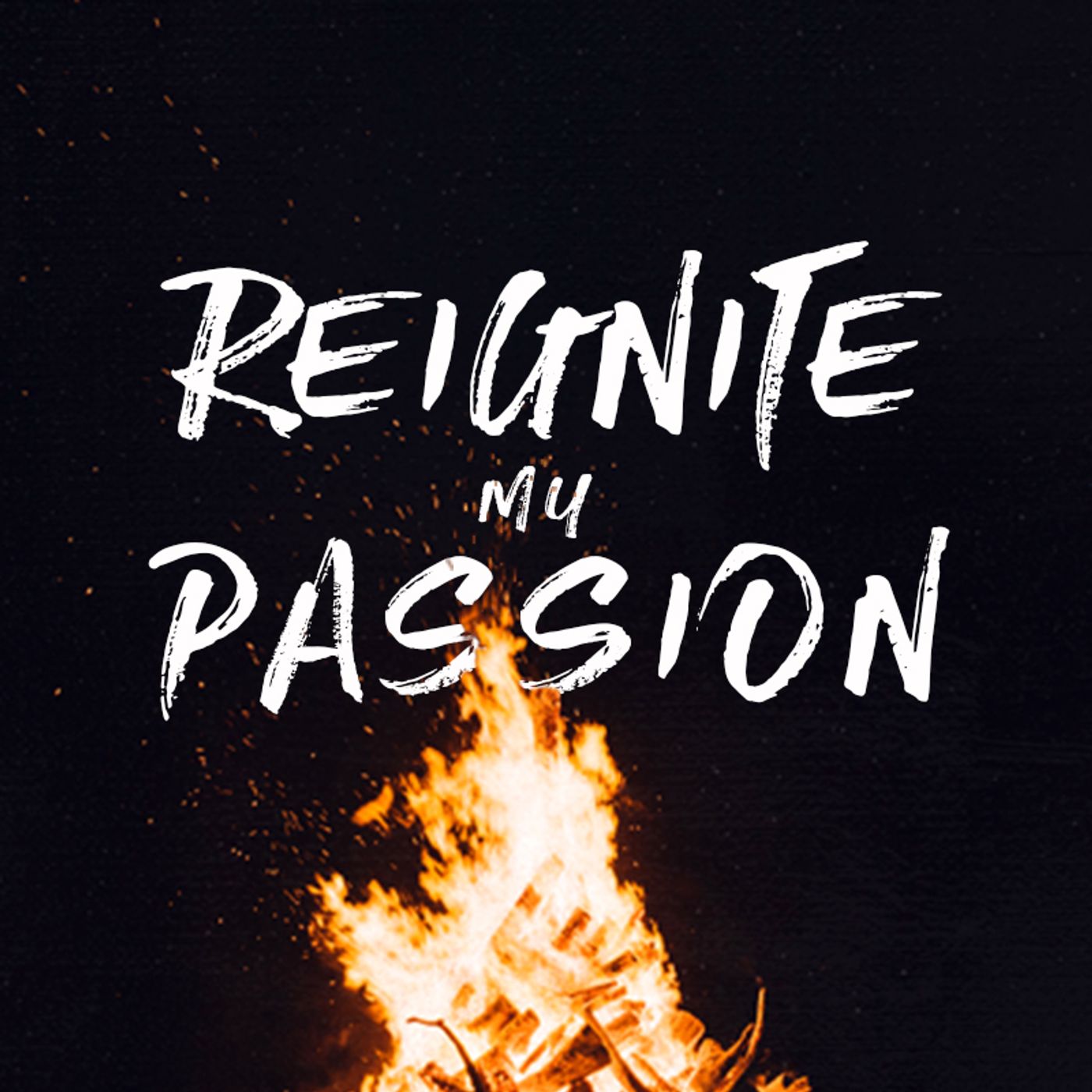 REIGNITE MY PASSION episode artwork