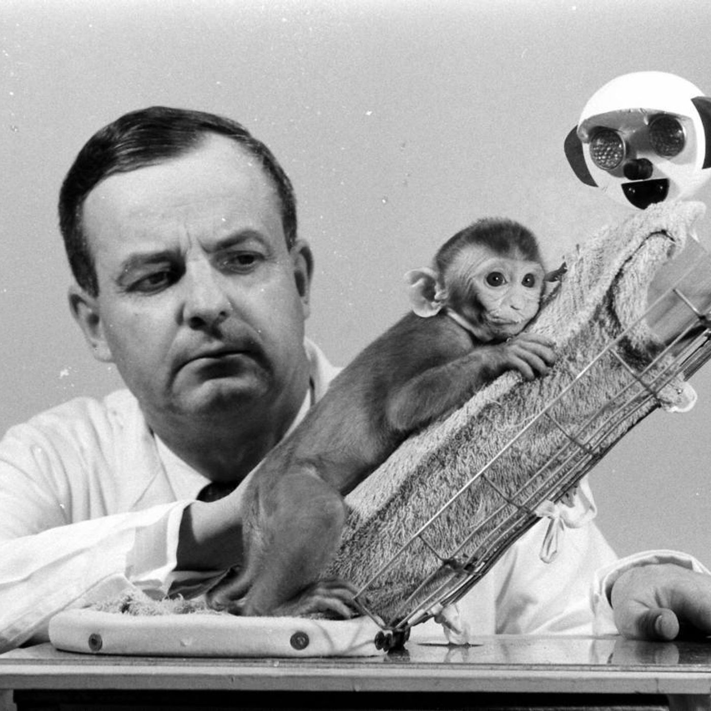 Quando gli Esperimenti Psicologici Osano Troppo Quando gli Esperimenti Psicologici Osano Troppo