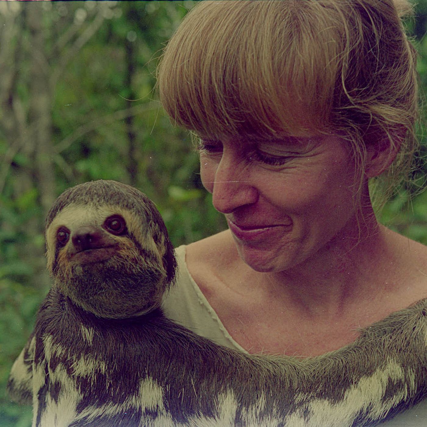 POVO_Audiodescrições