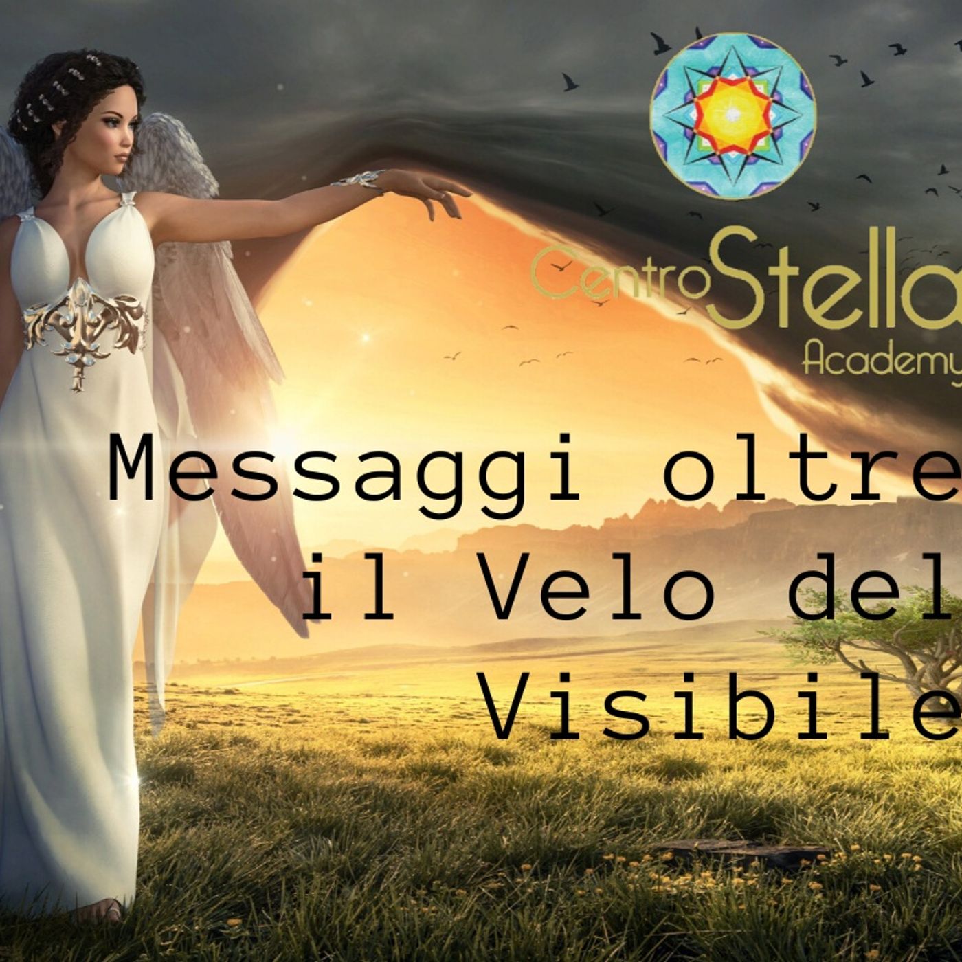 Messaggi oltre il Velo del Visibile a cura di Sabrina Beretta