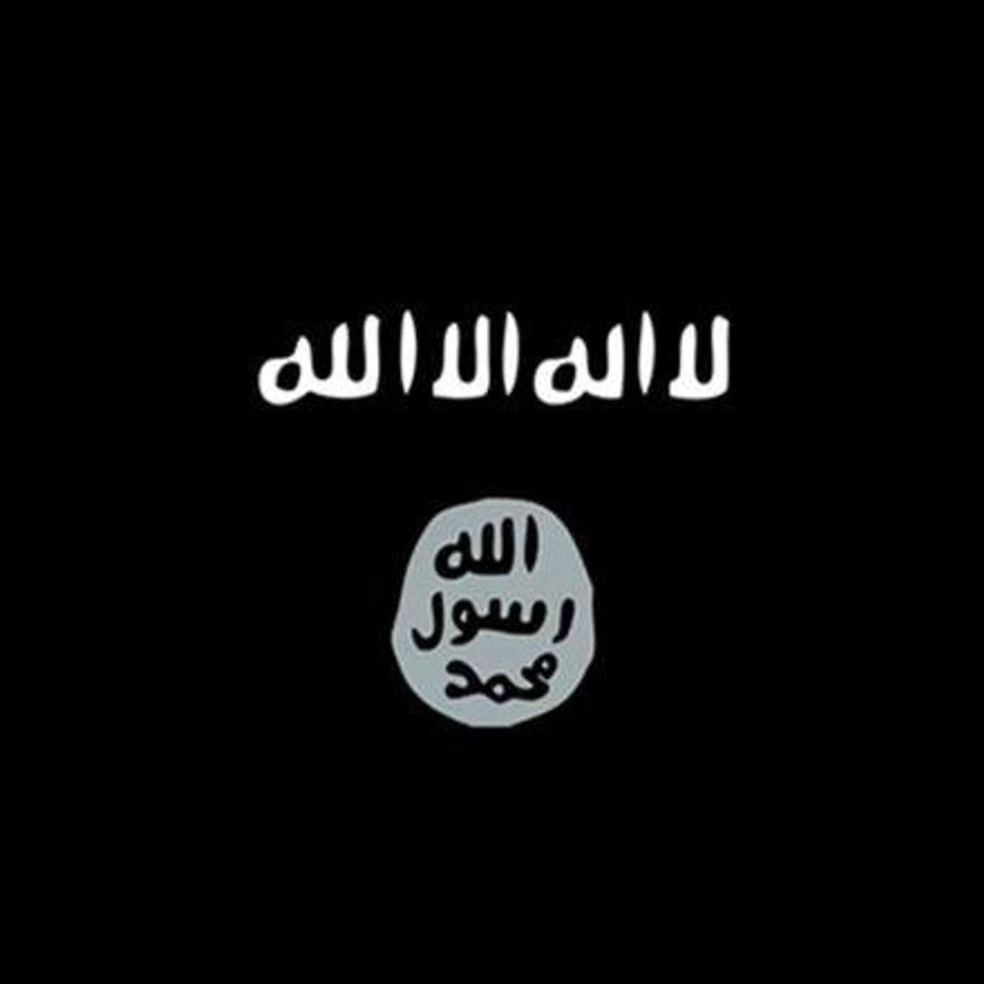 الحرب على الحركى . صوت cover art