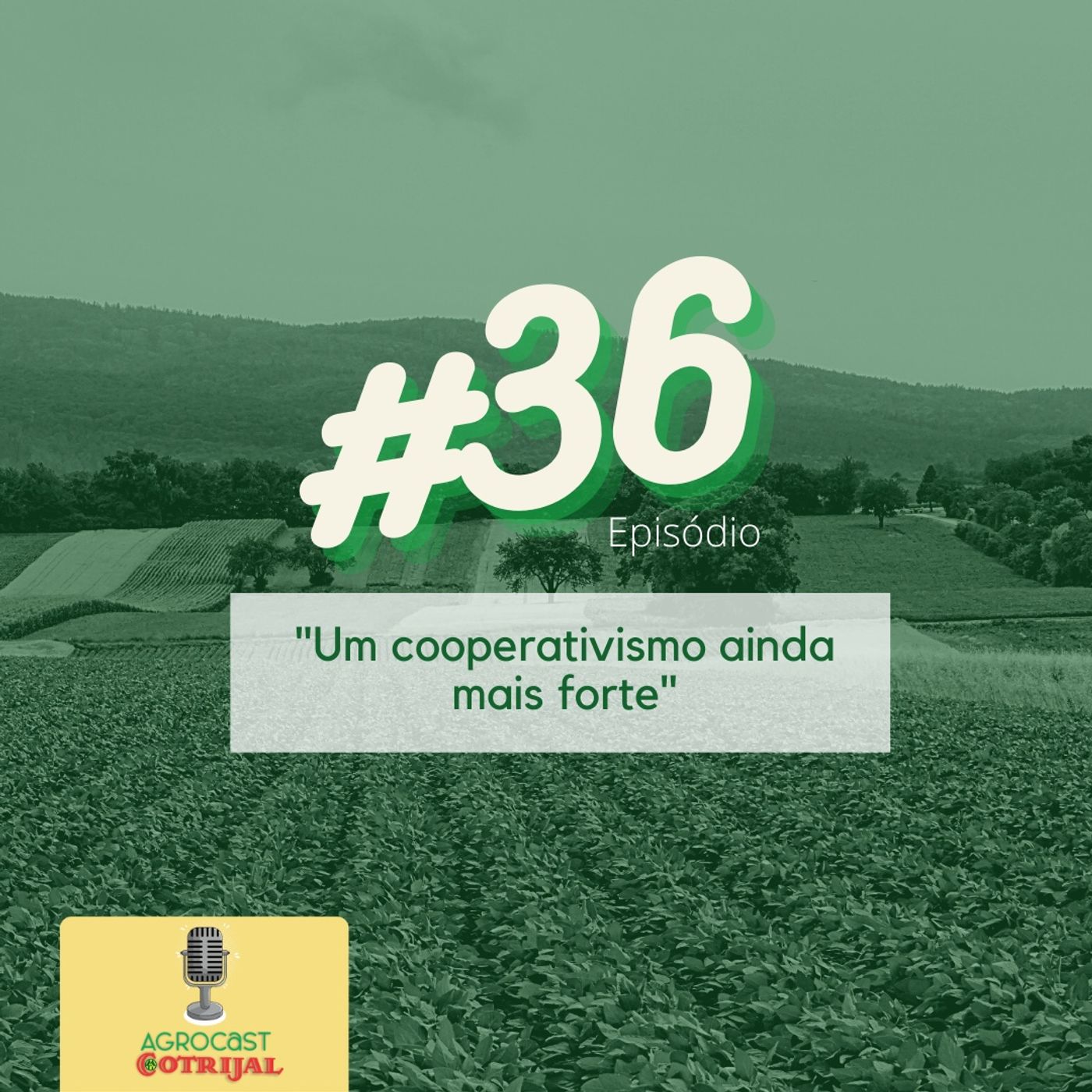 AgroCast Cotrijal