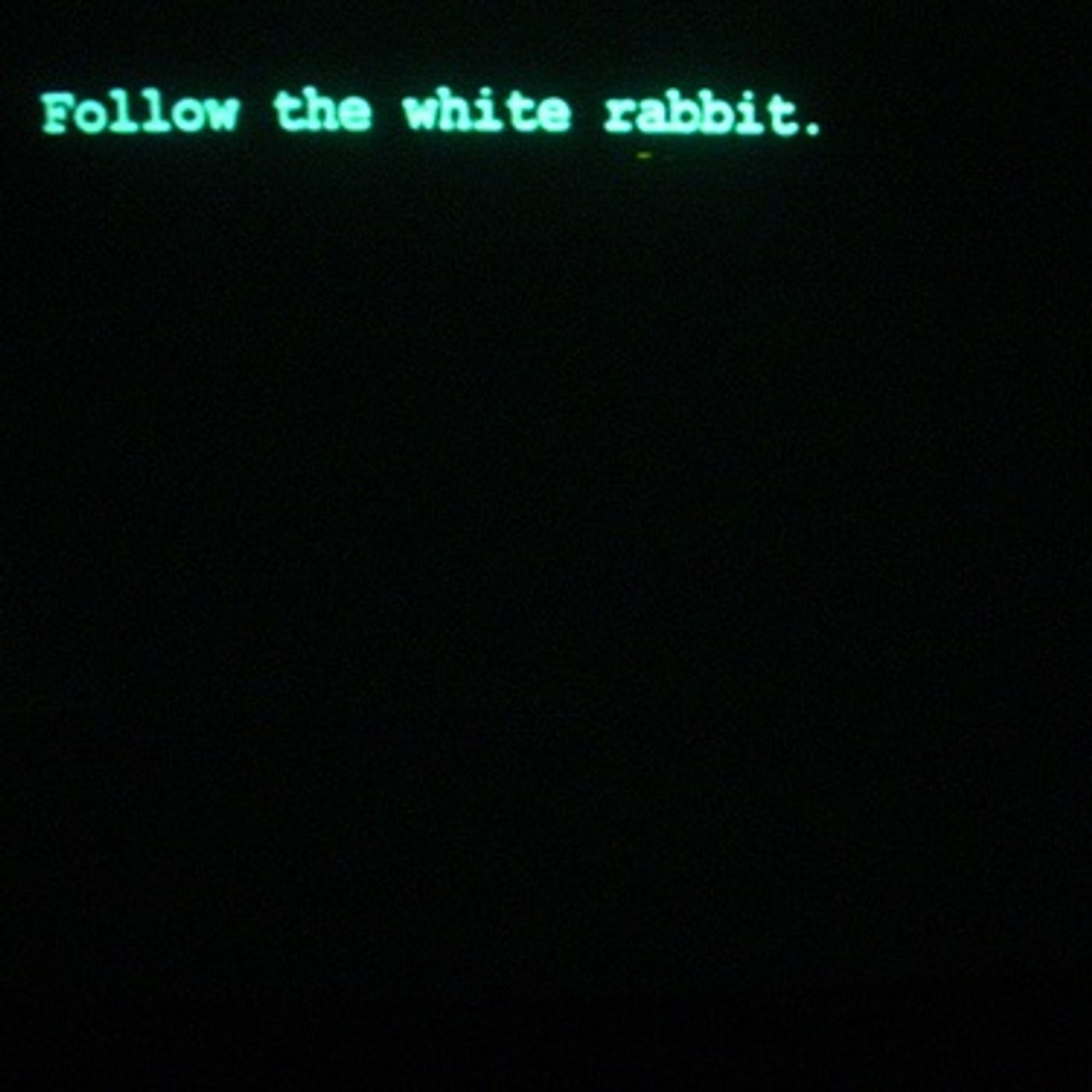 Follow the white rabbit.