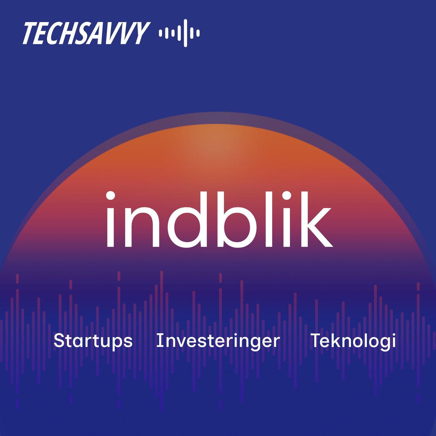 TechSavvy Indblik af TechSavvy Media