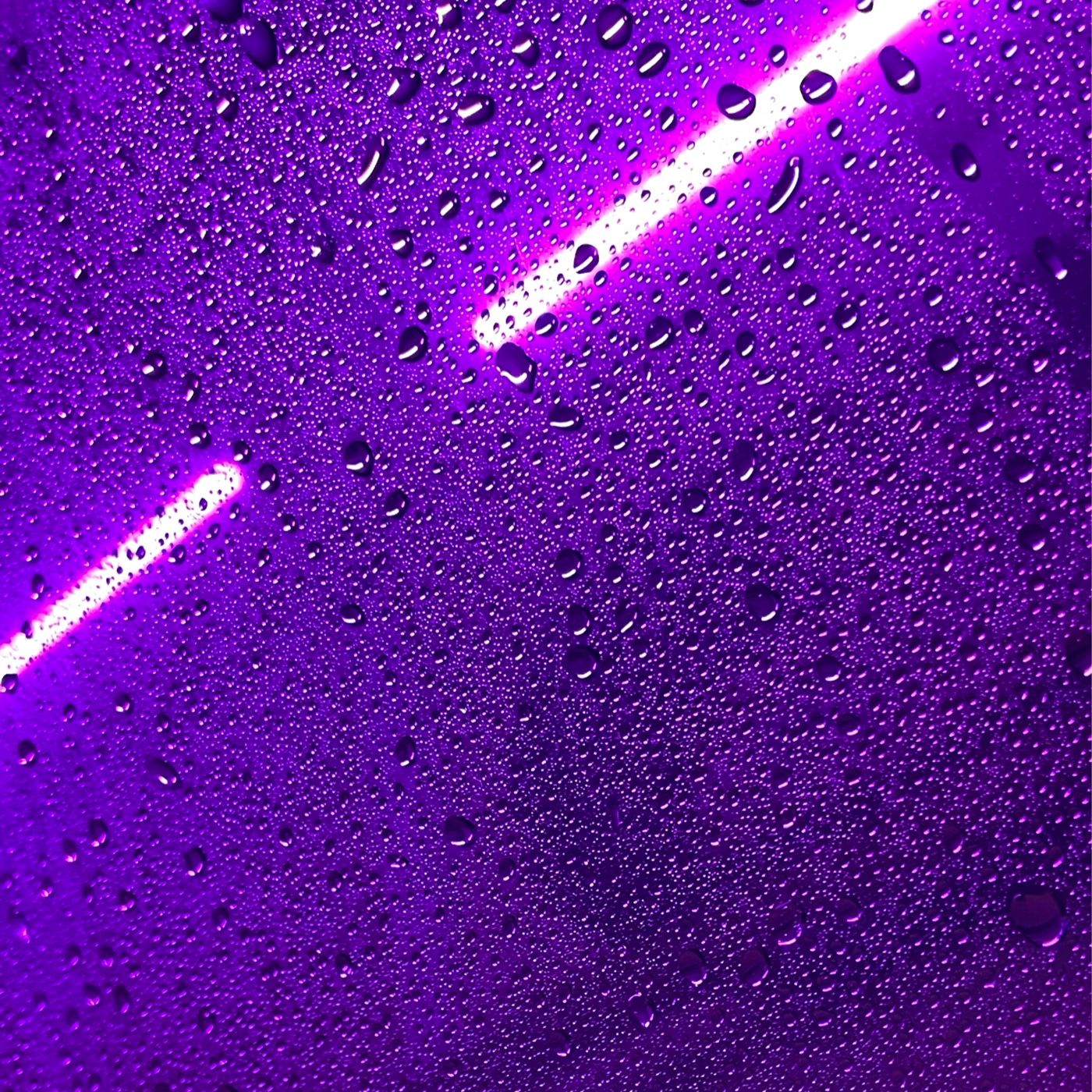 Chick Chat cover art