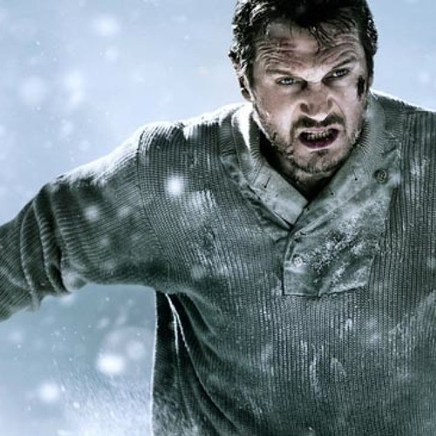 Groups Boycott 'The Grey' For Portrayal Of Wolves episode artwork