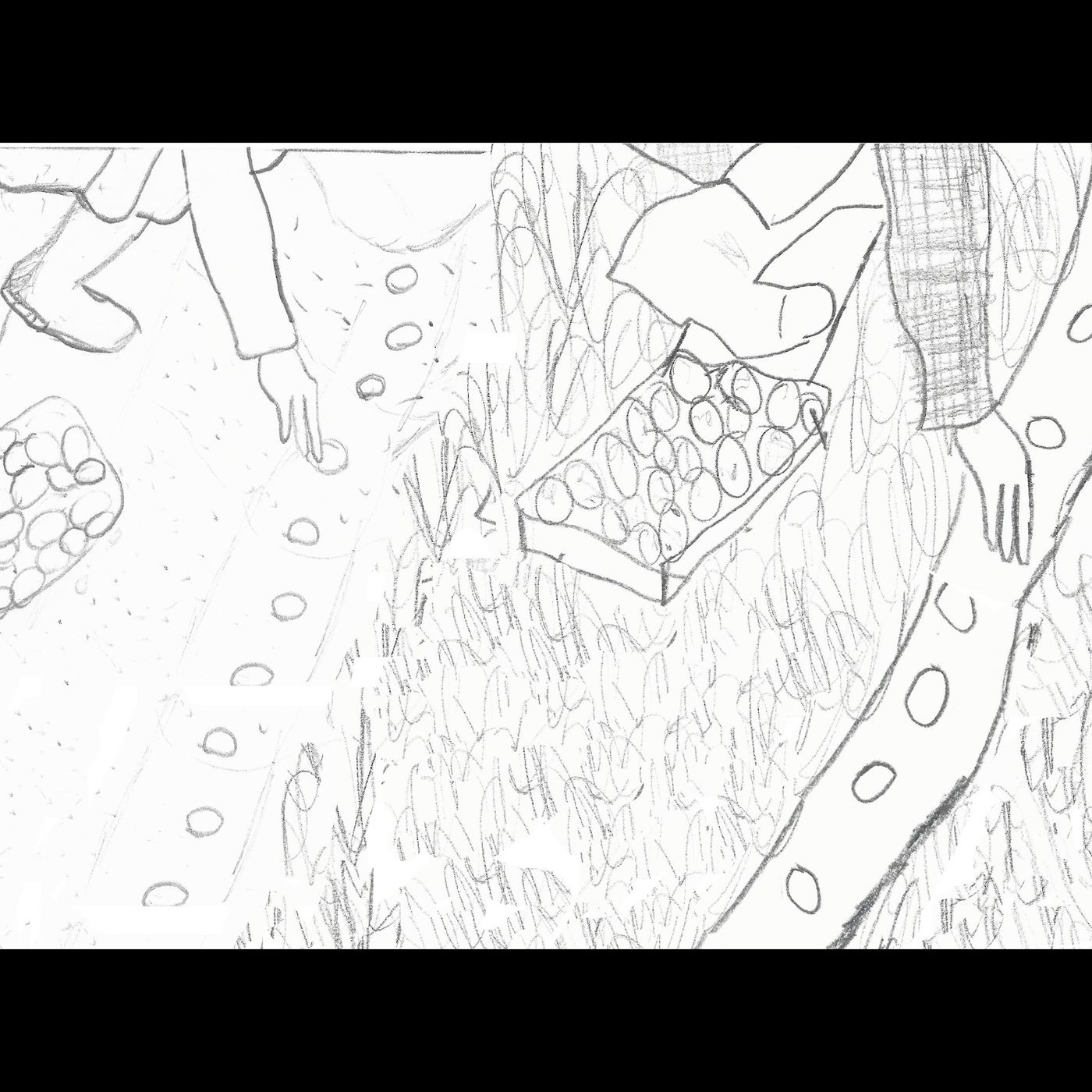 VIAGGIO NEL TEMPO CON L\'AGRICOLTURA