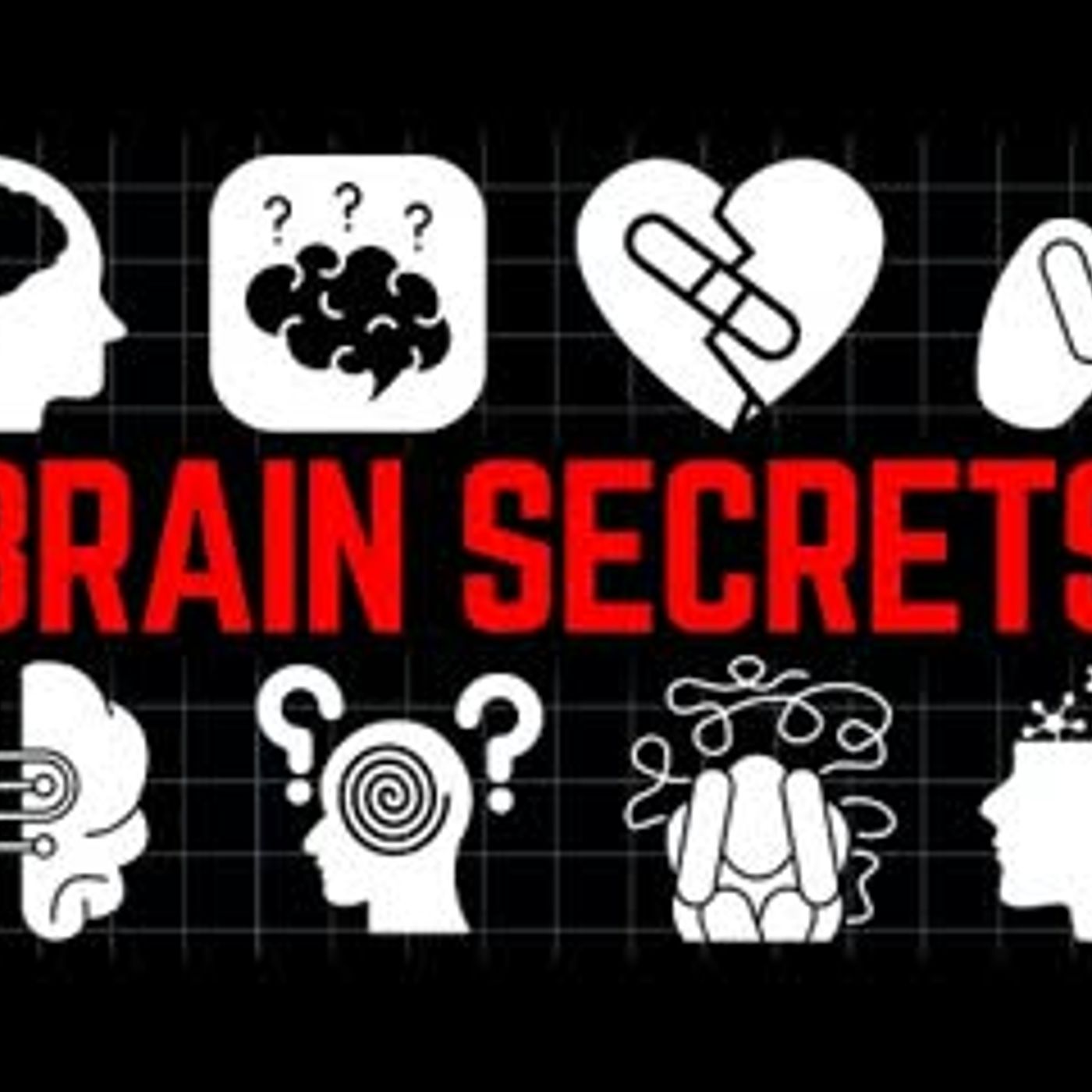 3 Hours of Secrets About the Brain That Neuroscientists Won’t Admit