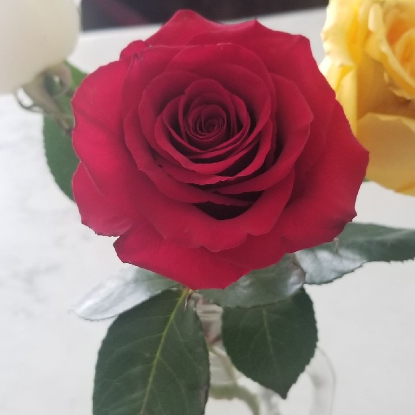 Autoconocimiento Letty Lopez