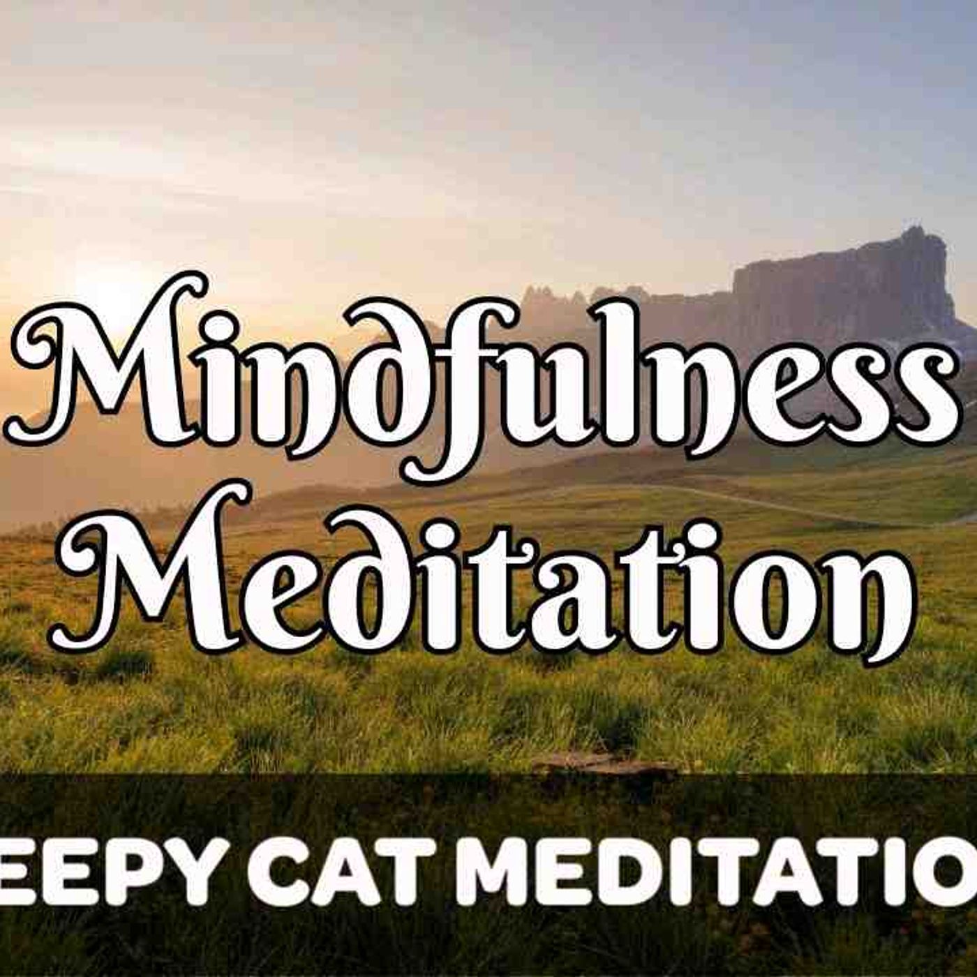 Guided Mindfulness Meditation for Calmness _ Clarity (Reduce Anxiety) episode artwork