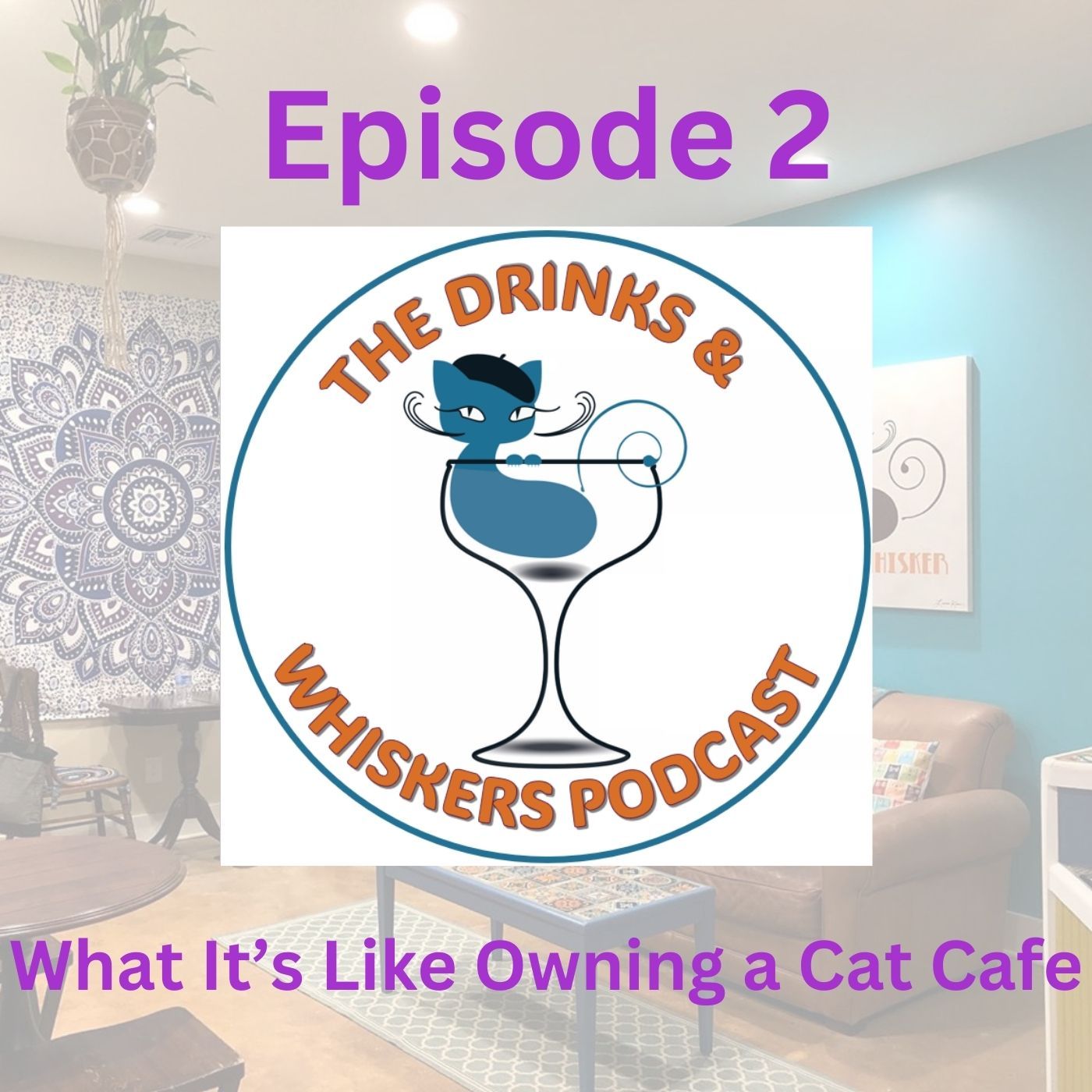 The Drinks & Whiskers Podcast