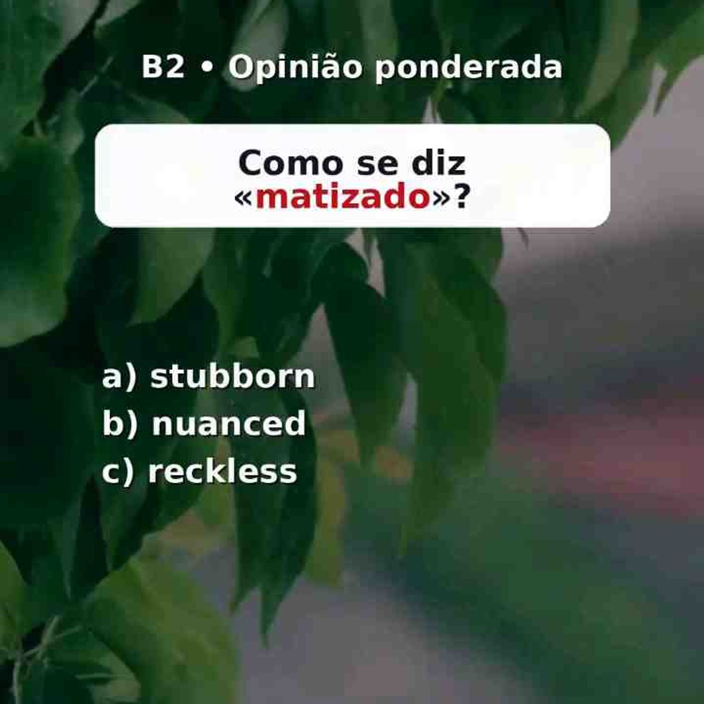 Diferenças sutis em inglês_ opinião ponderada.