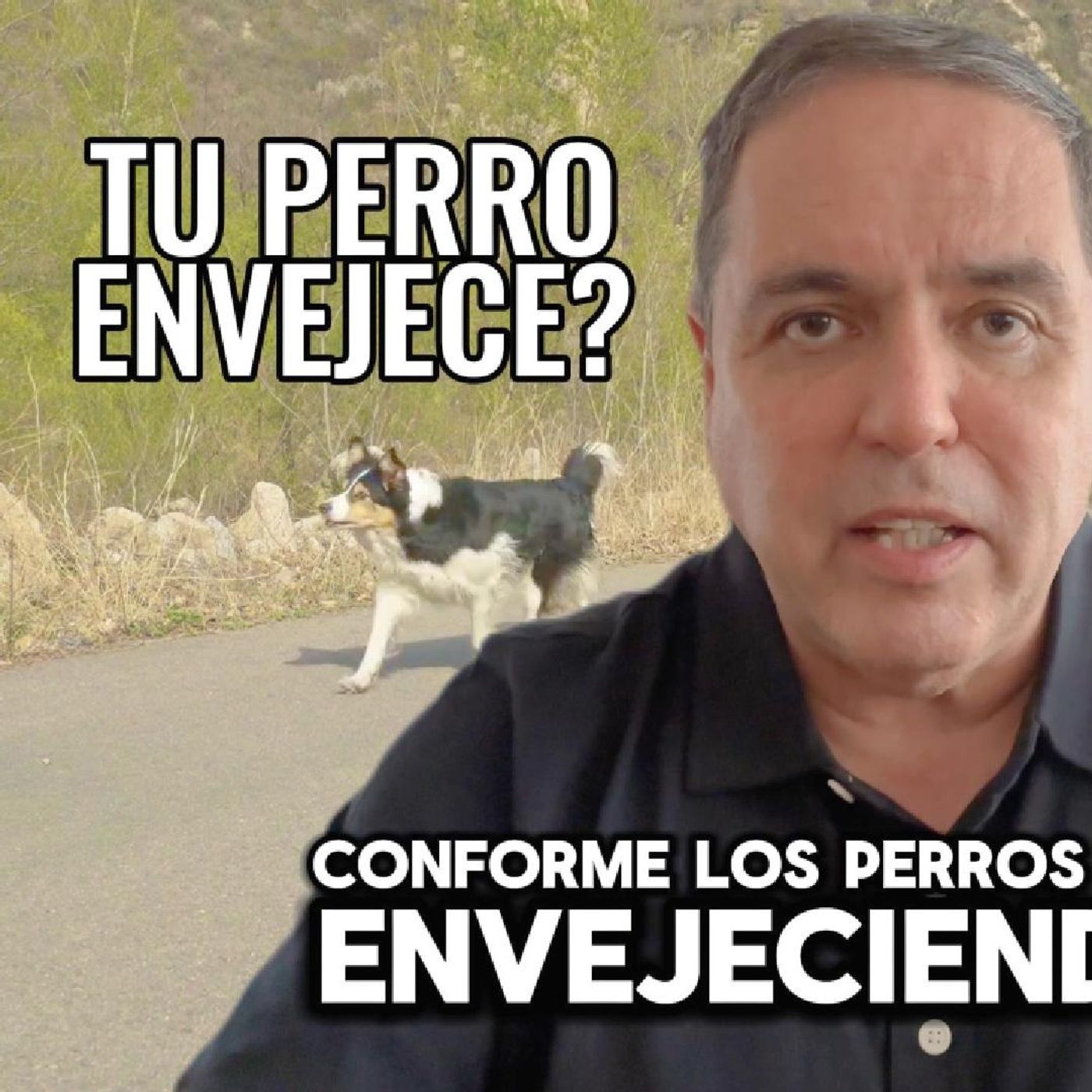🐾 ¿Tu perro está envejeciendo? ¡Cuida su salud con lo mejor! 🐾