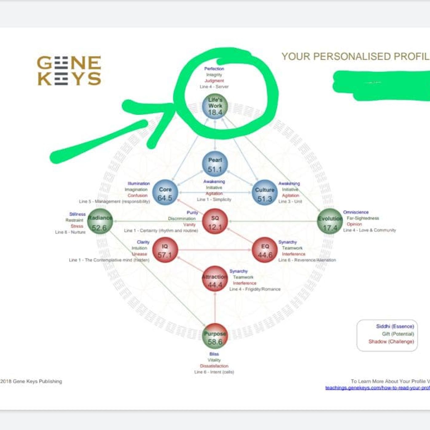 Chiave genetica 53 presente dal 7 al 12 luglio Chiave genetica 53 presente dal 7 al 12 luglio