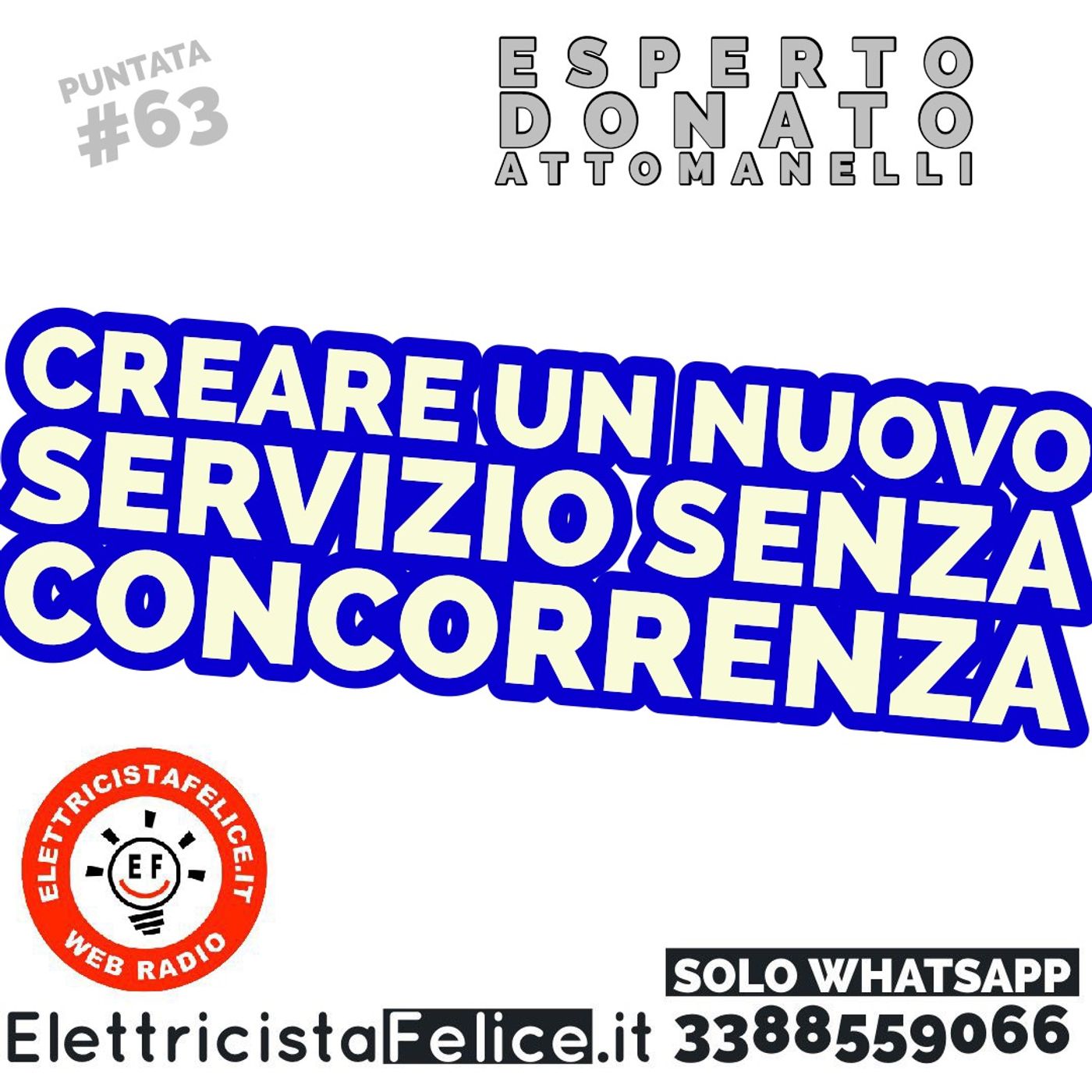 Elettricista felice