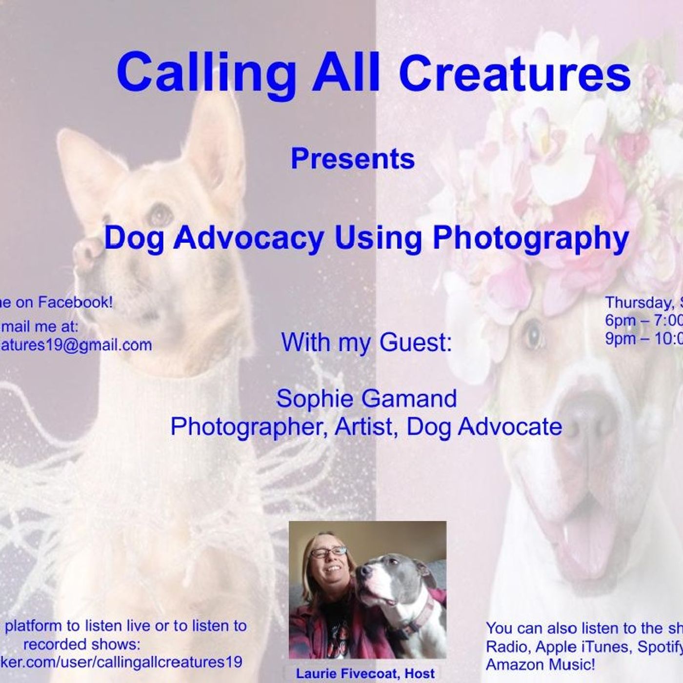 Calling All Creatures