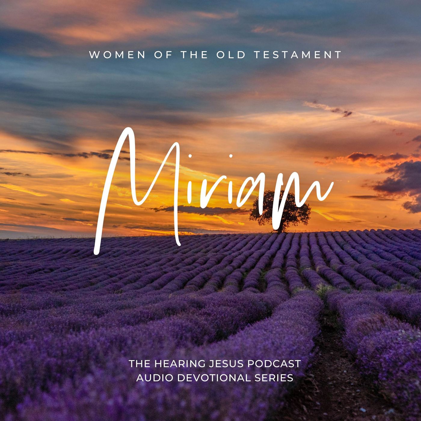 Hearing Jesus: Bible Study, Daily Devotional, Scripture, Faith, Hear from God, Bible, Devotions