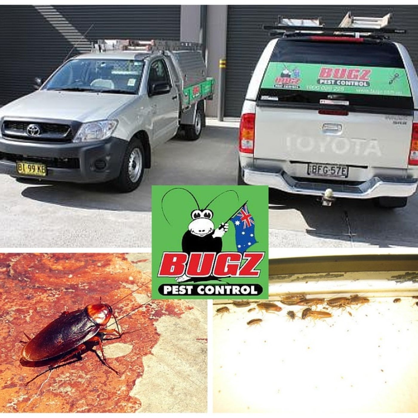 Sylvania Waters Pest Control – Bugz Pest Control Since 1998 episode artwork