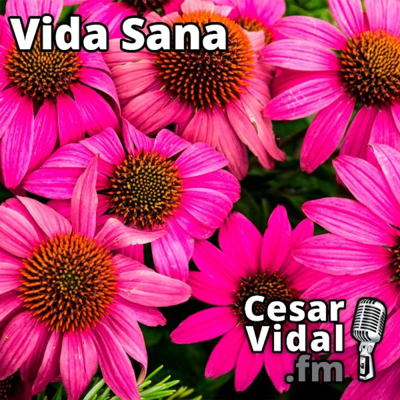 La Voz de César Vidal