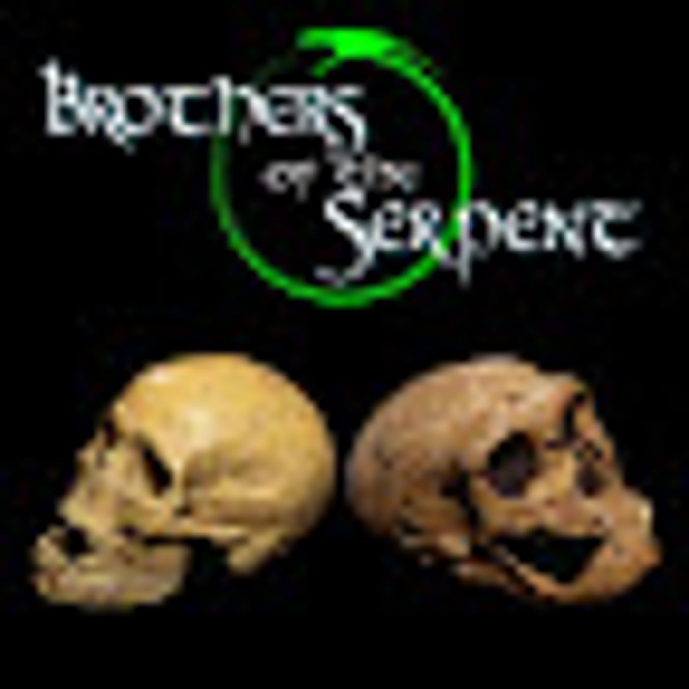 Episode #202: The Hidden History of the Human Race - Part 8 episode artwork
