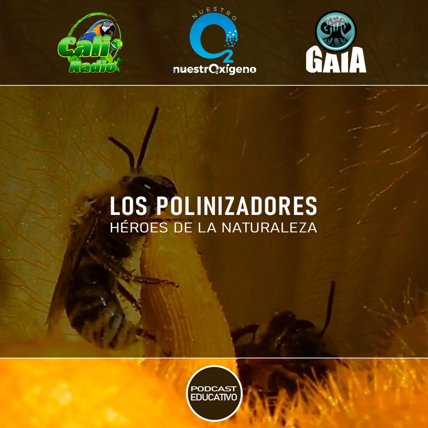 2025 Nuestro Oxigeno 01- Enero