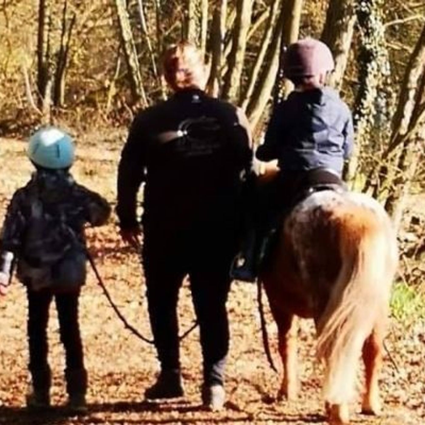 « Bull d'air » : quand les chevaux soignent episode artwork