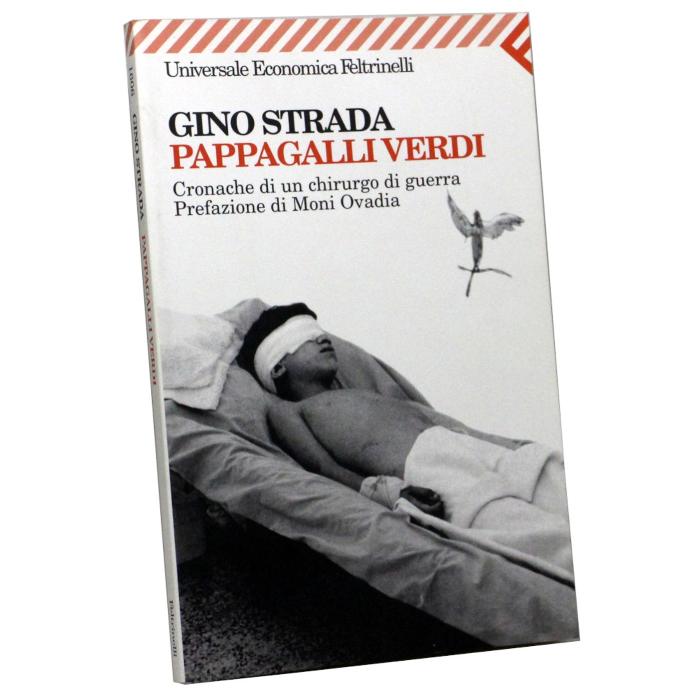 Pappagalli verdi di Gino Strada