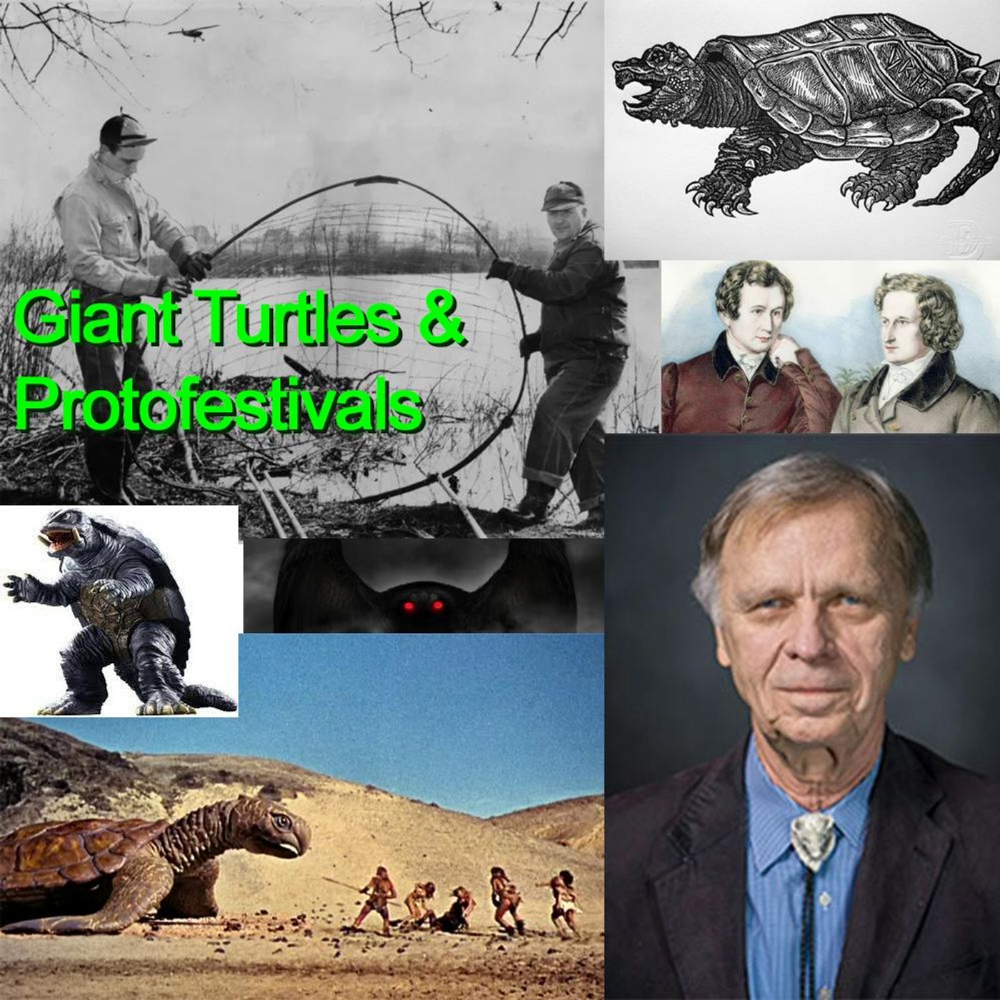 260 - Giant Turtles and Protofestivals
